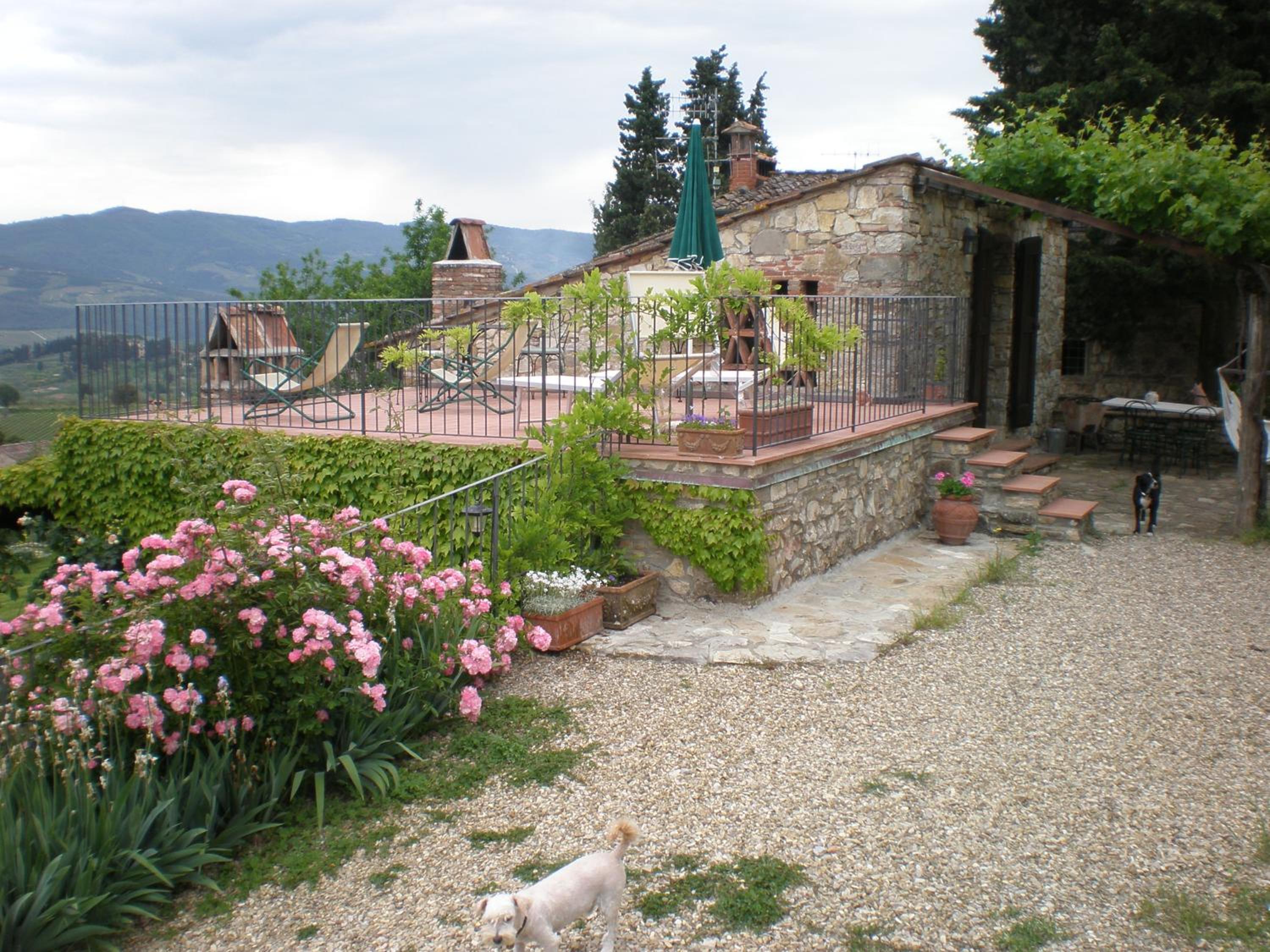 Photo 24