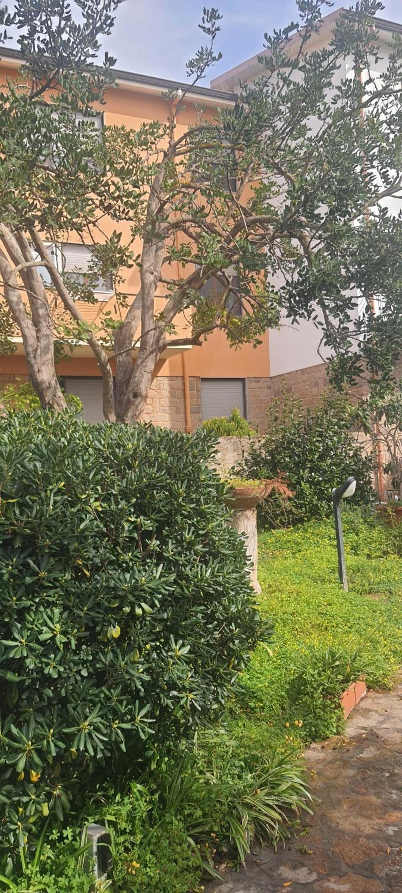 Il Carrubo