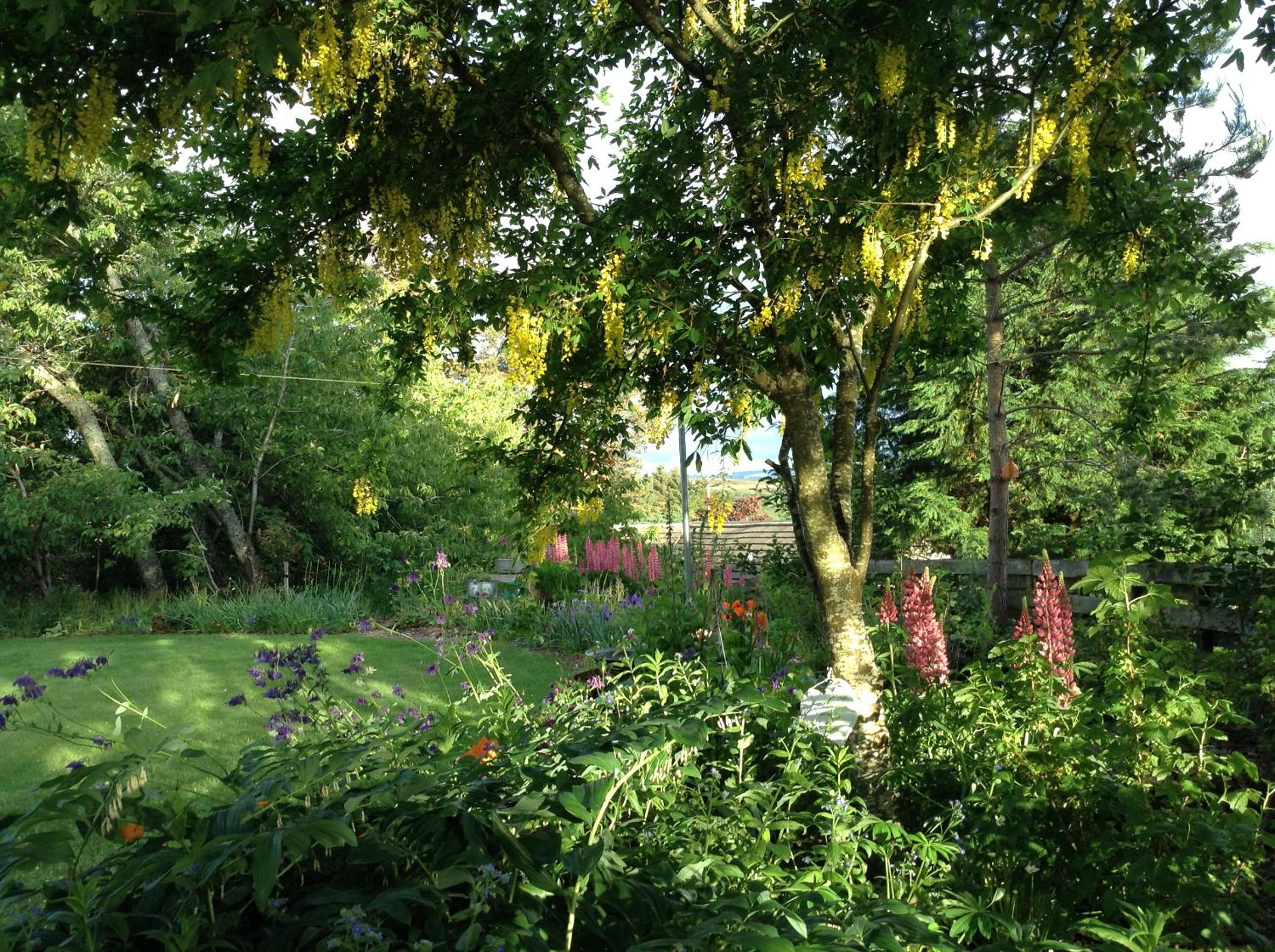 Dower House Newtonmore B&B