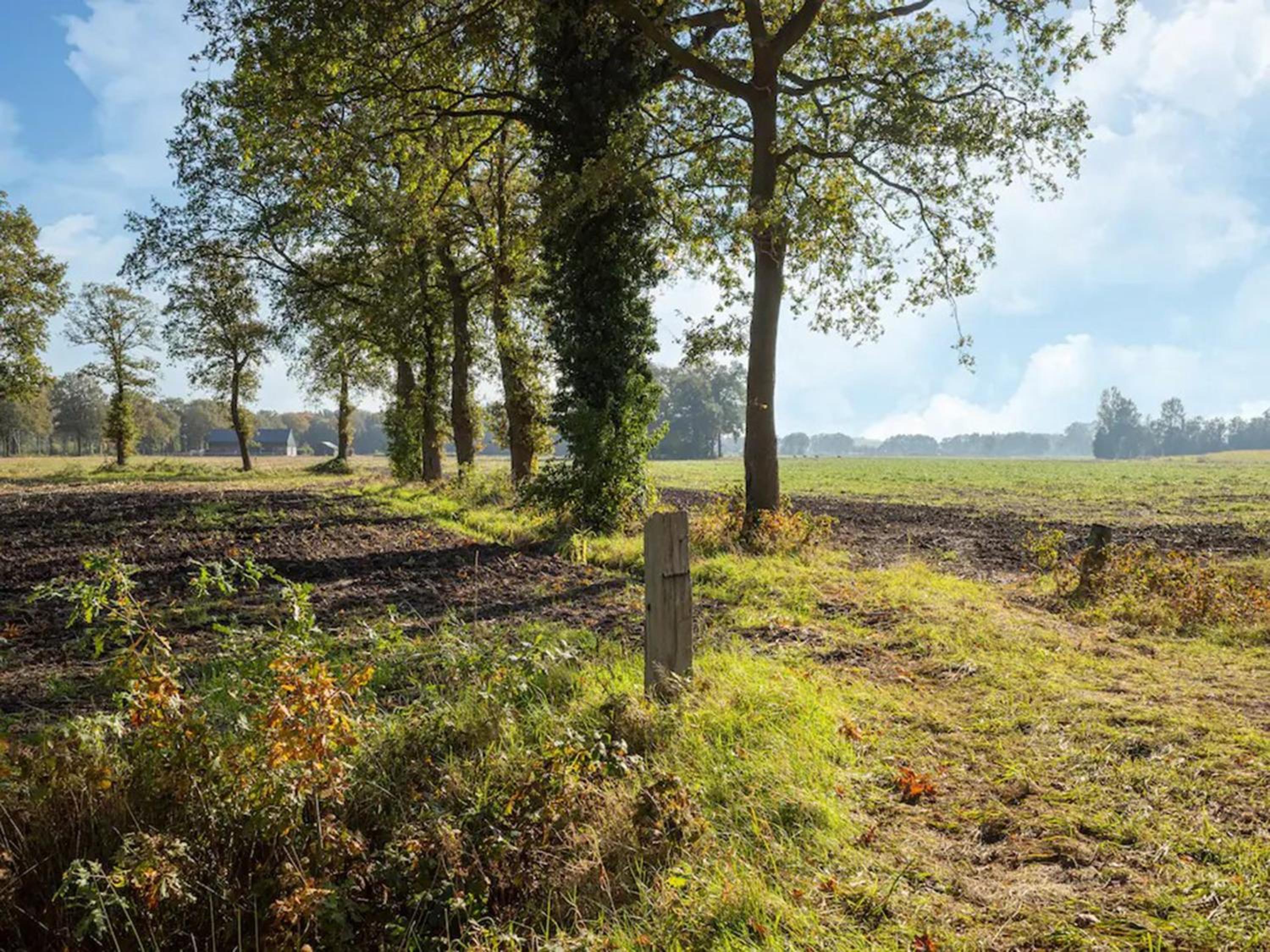Vakantie woning 