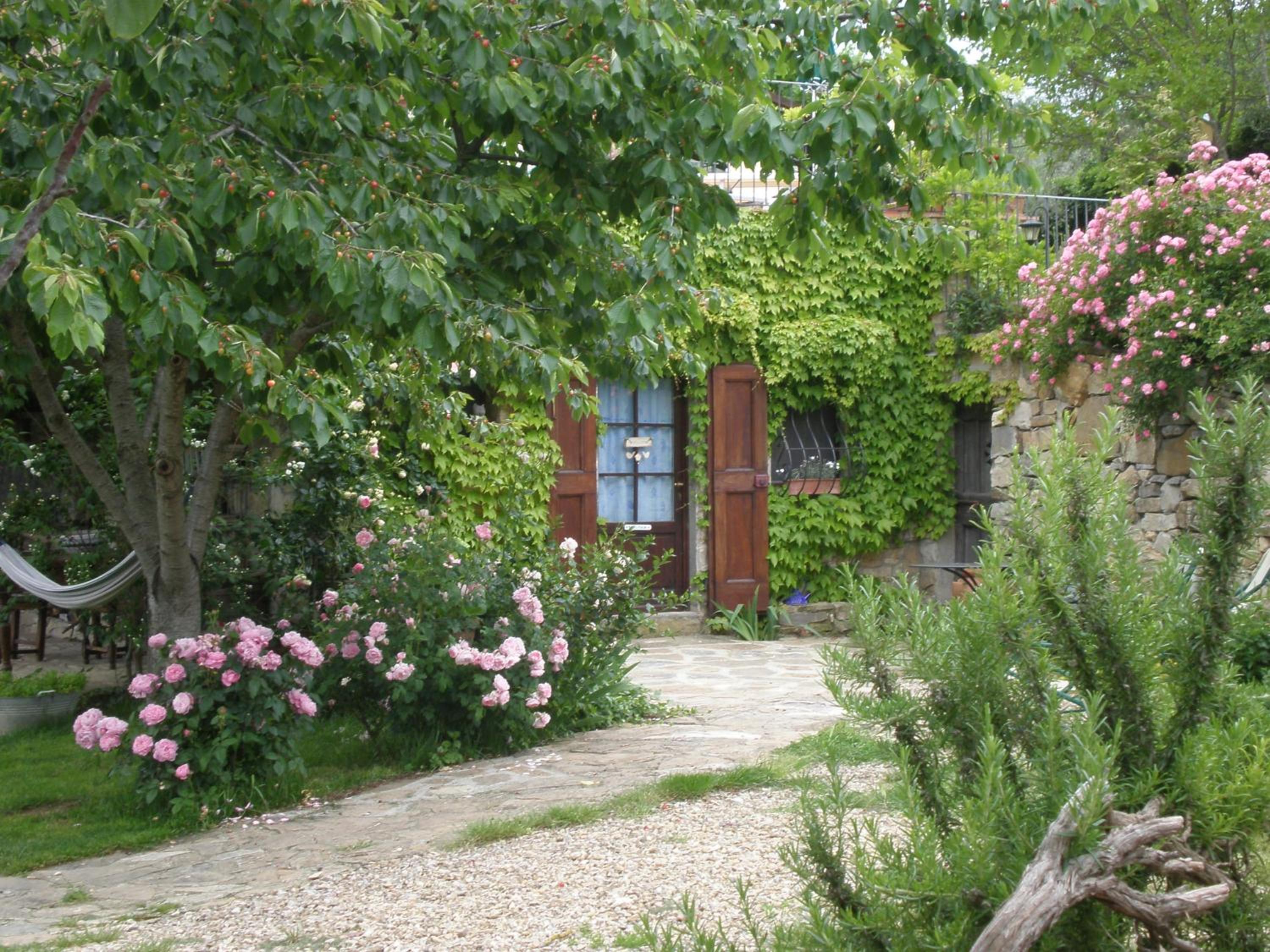 Photo 17