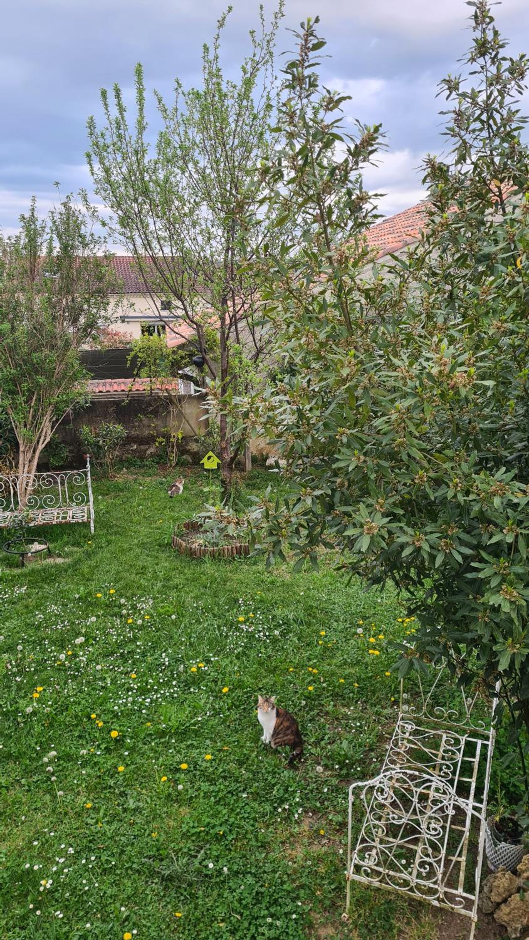 VILLA PIERRE