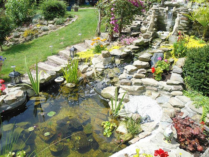 Photo 10