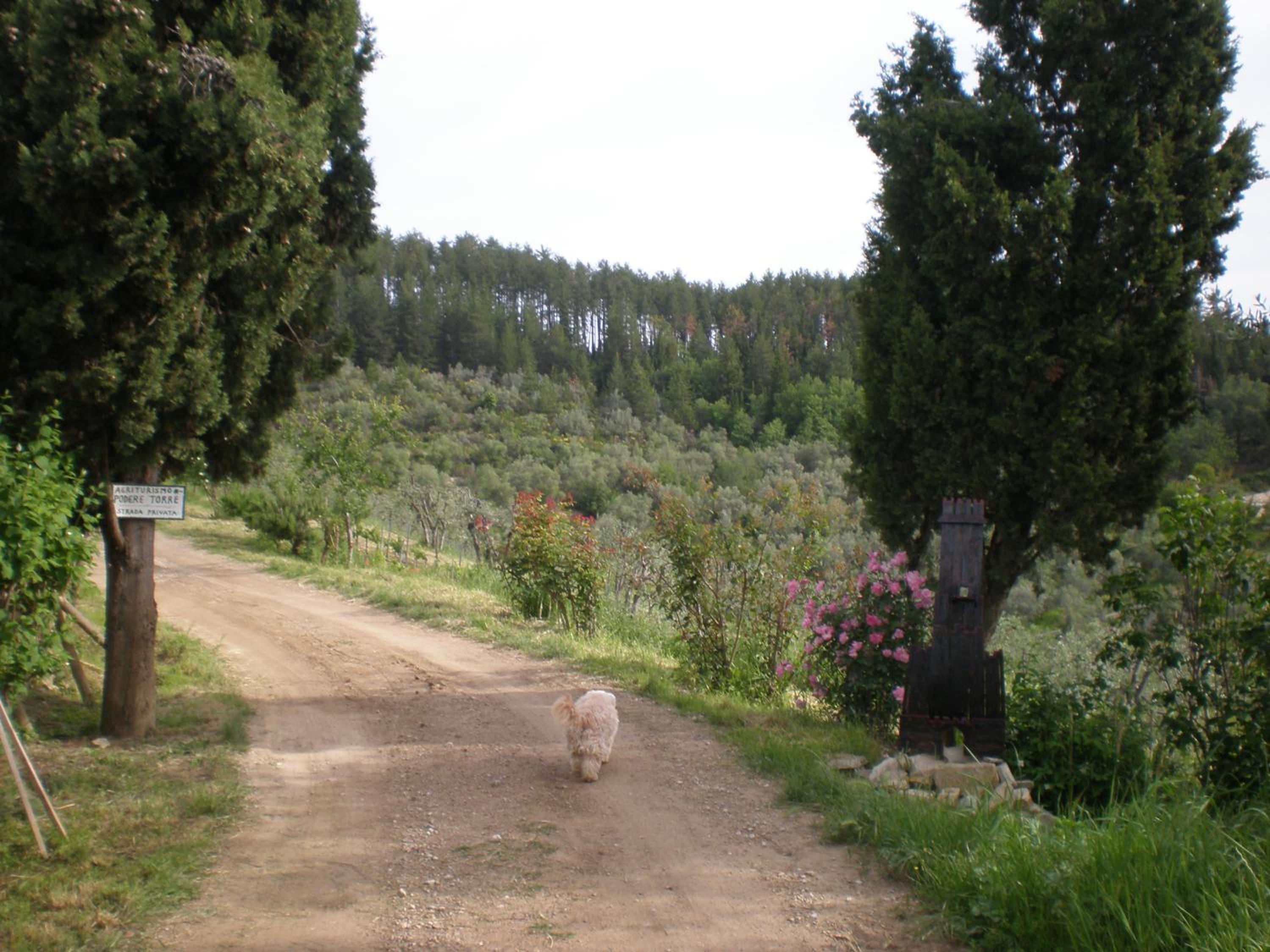 Photo 16