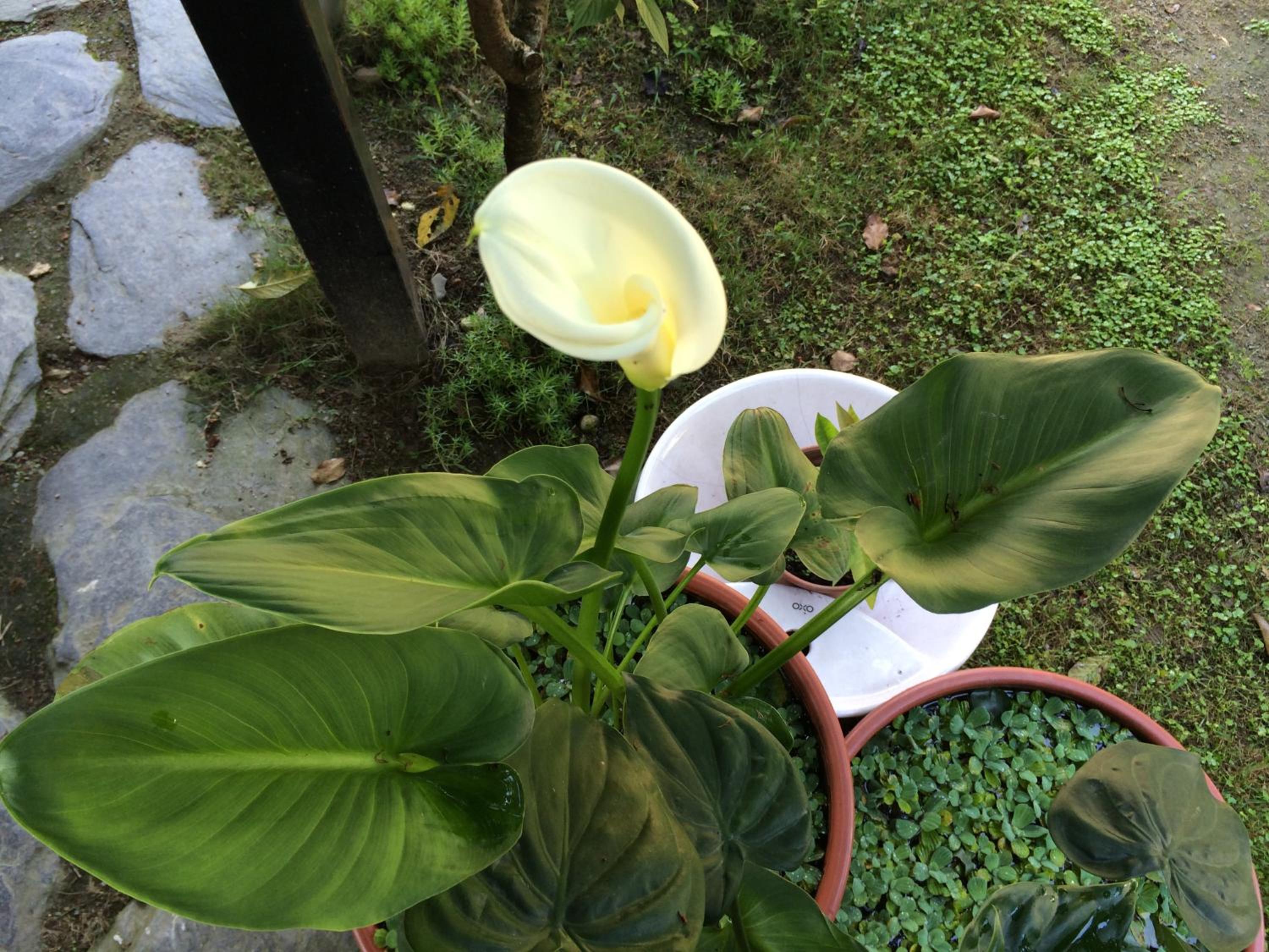 Photo 31