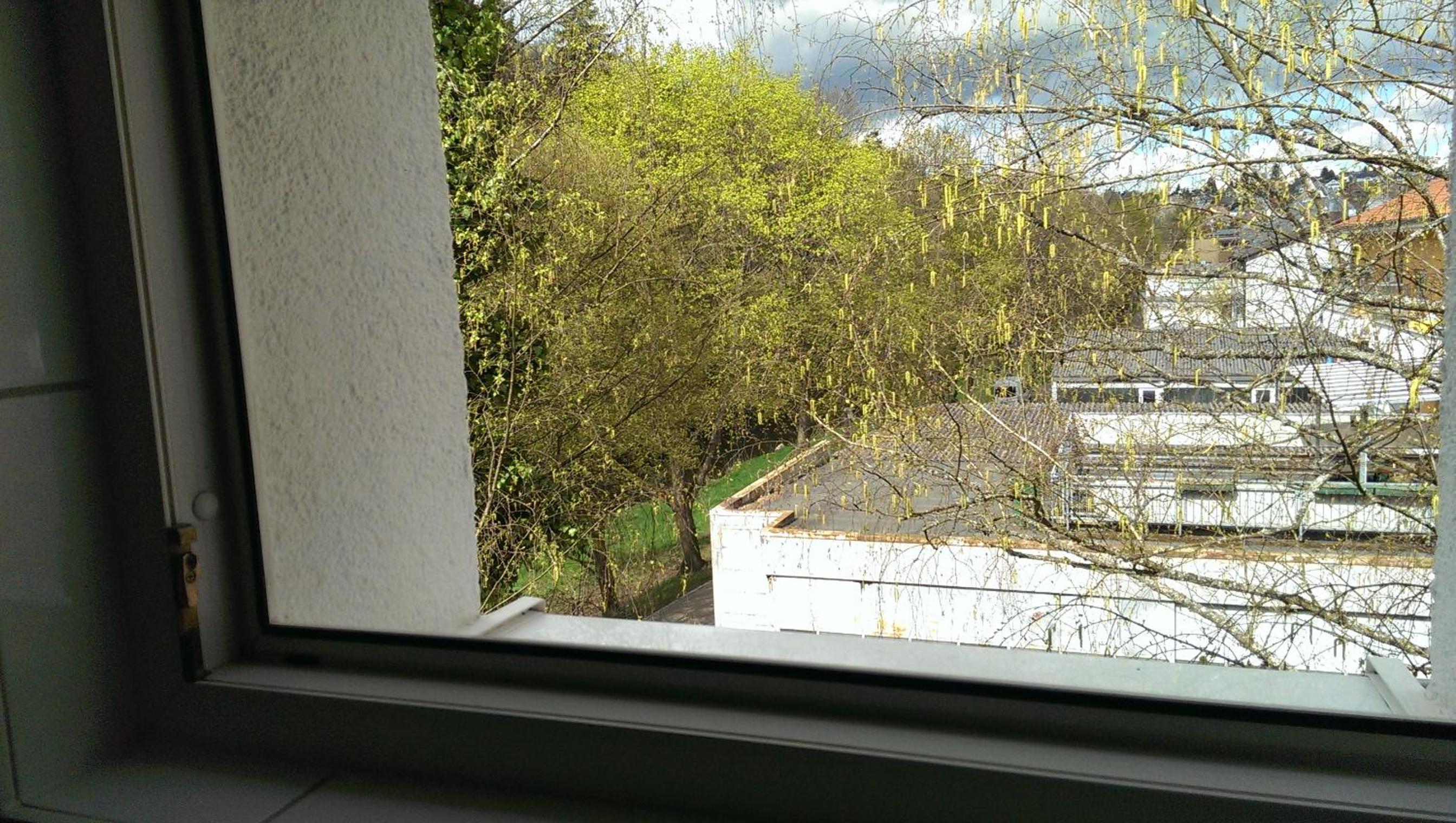 Loft Nagoldtal, photo 16