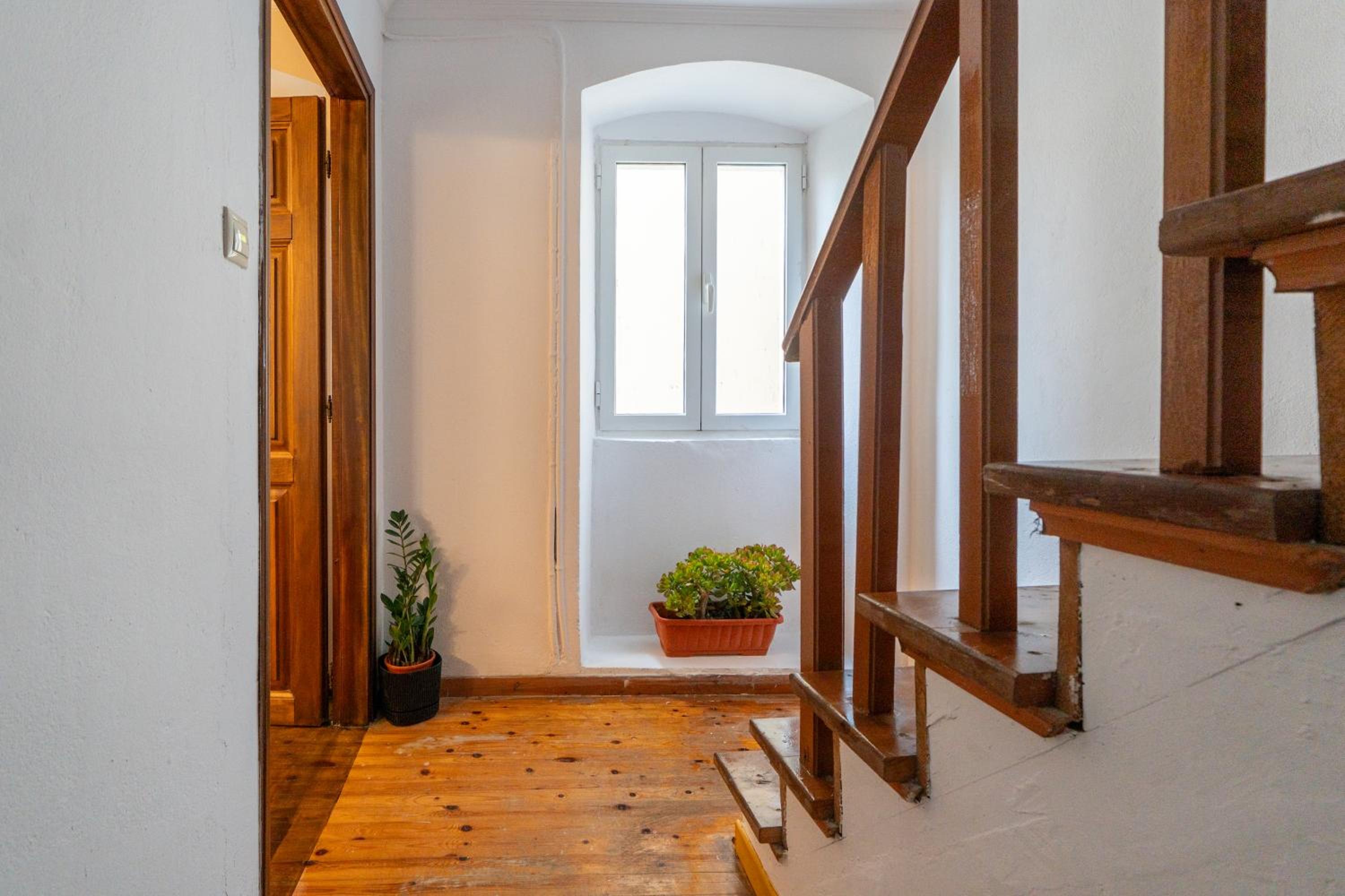 Tiny magic studio