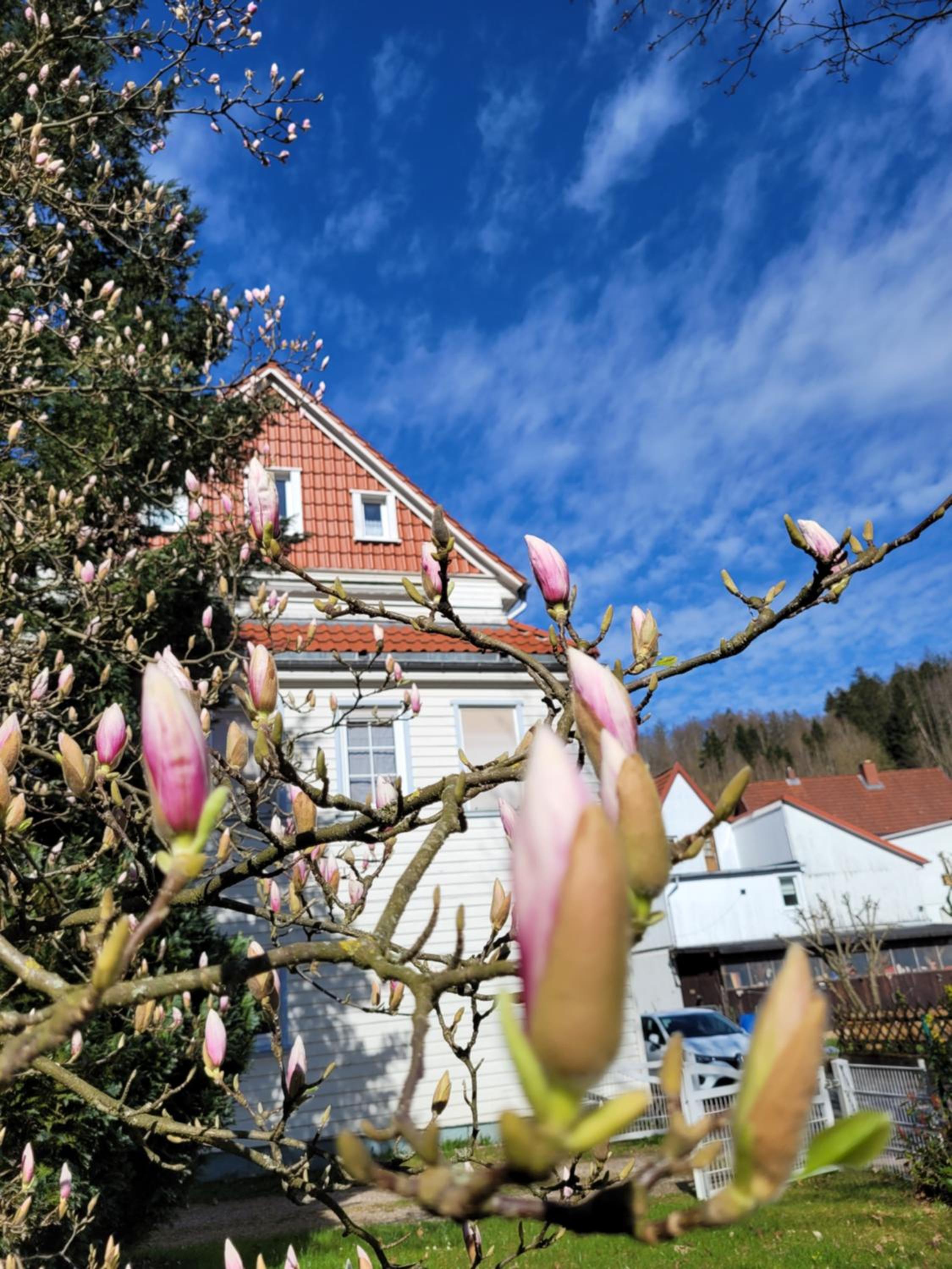 Haus Am Beckerberg im Harz