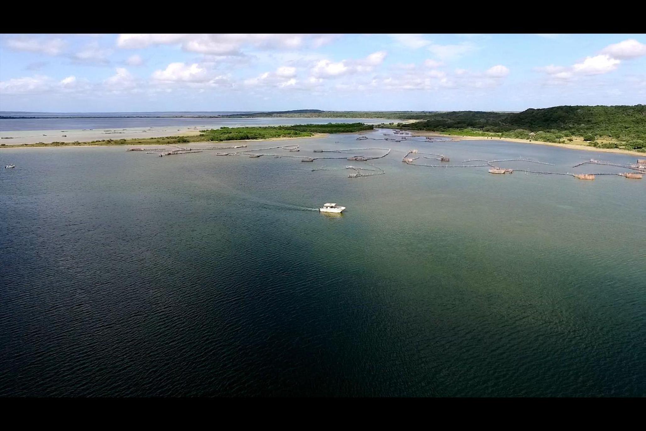 Kosi Bay Lodge
