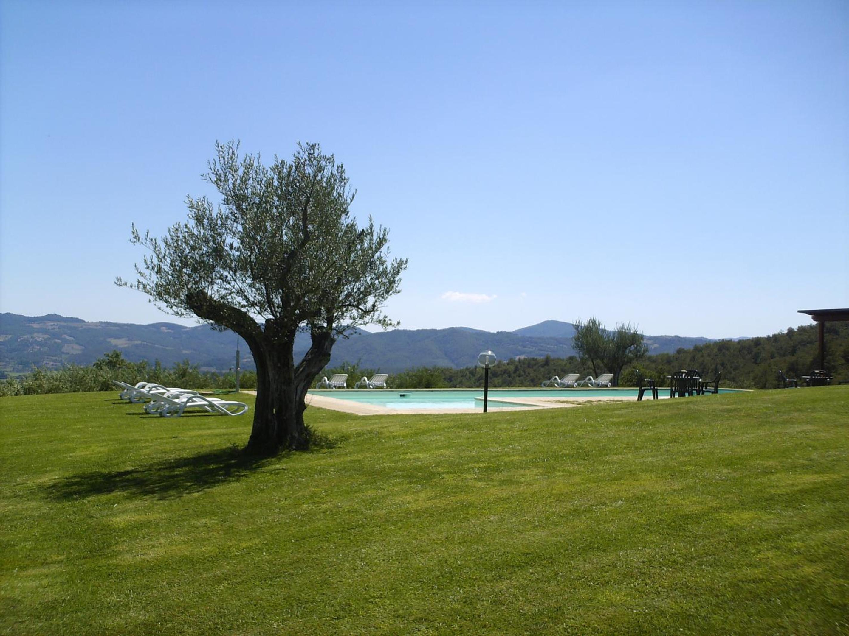 Photo 46