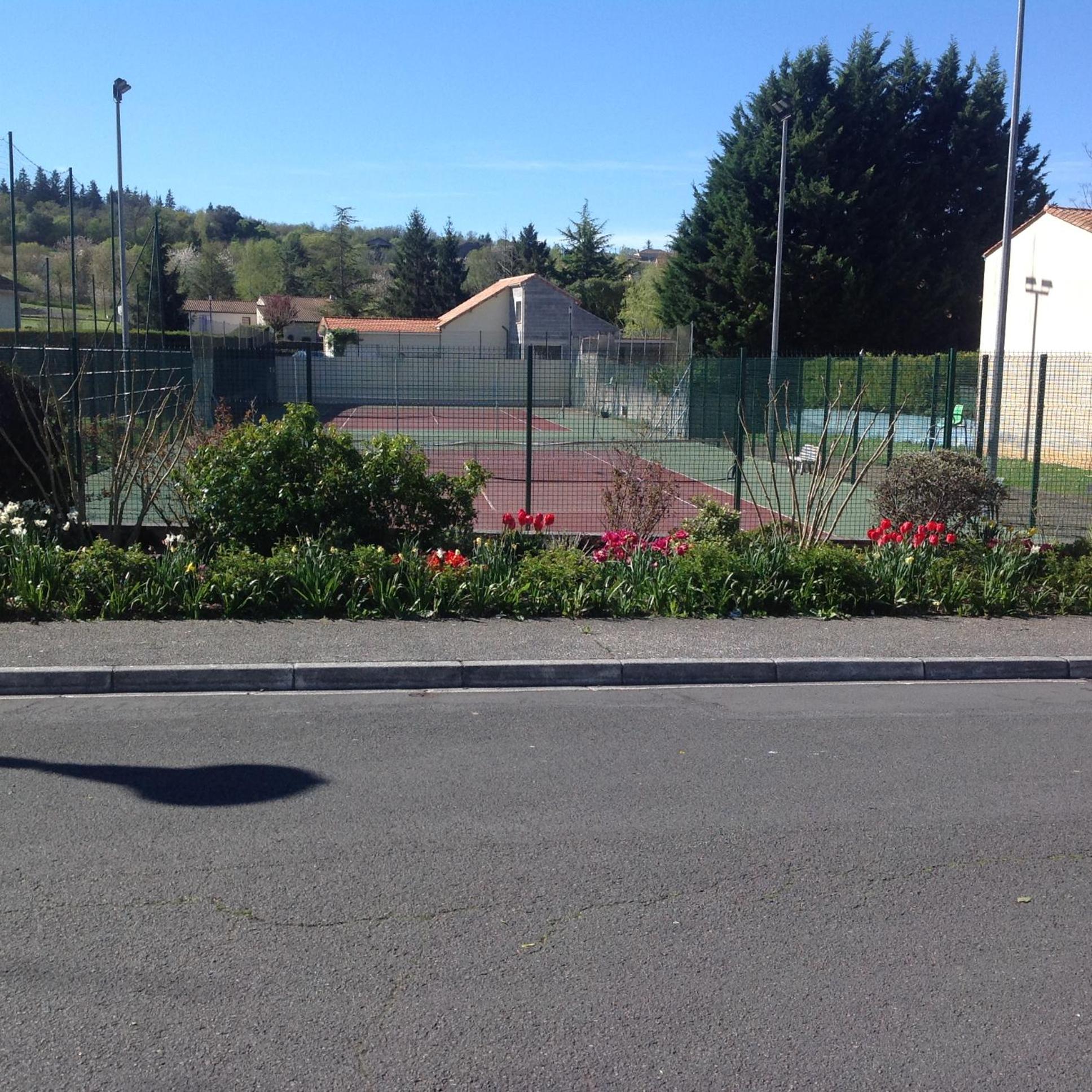 Photo 24