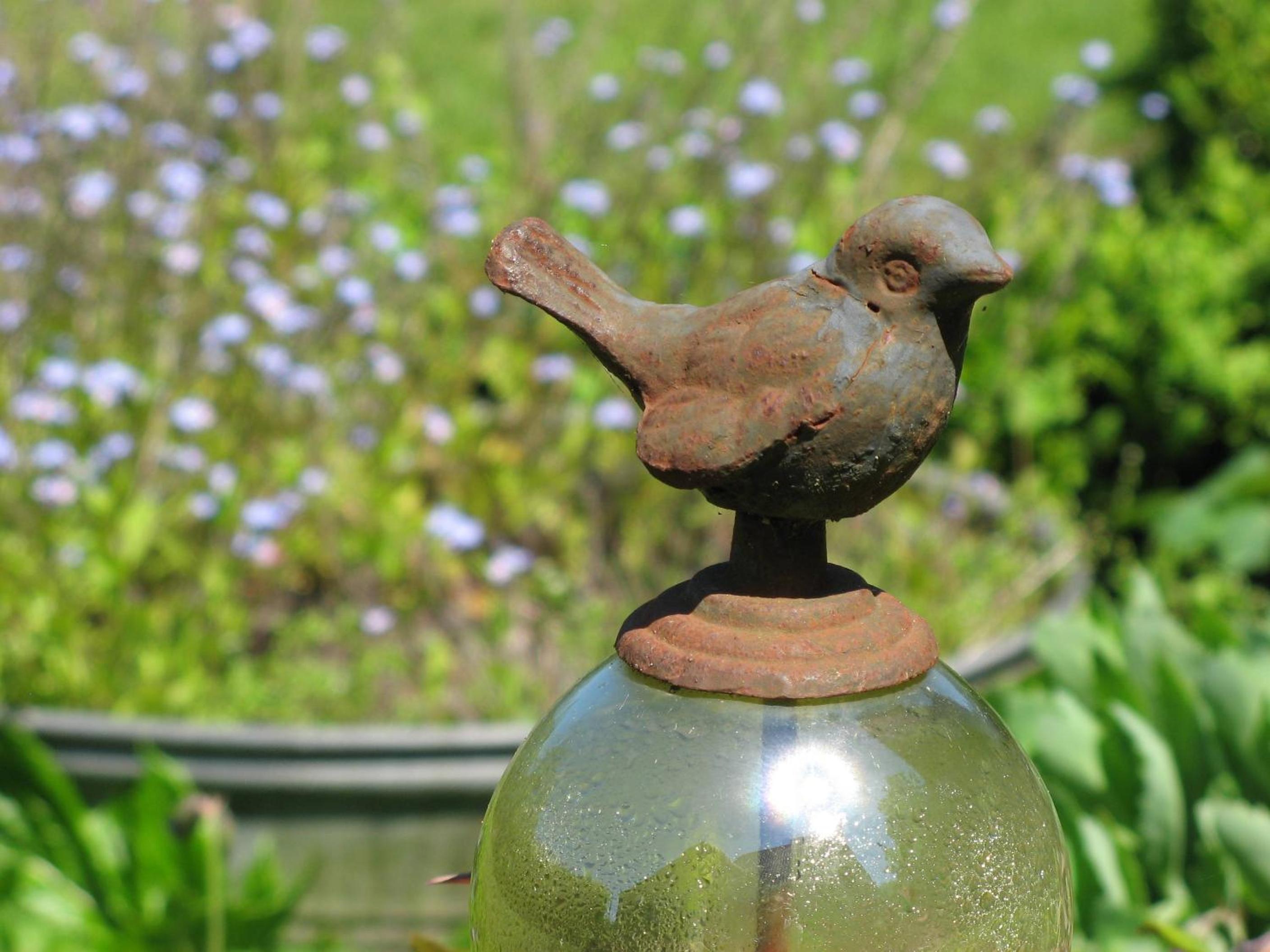 Jardin de Lieze