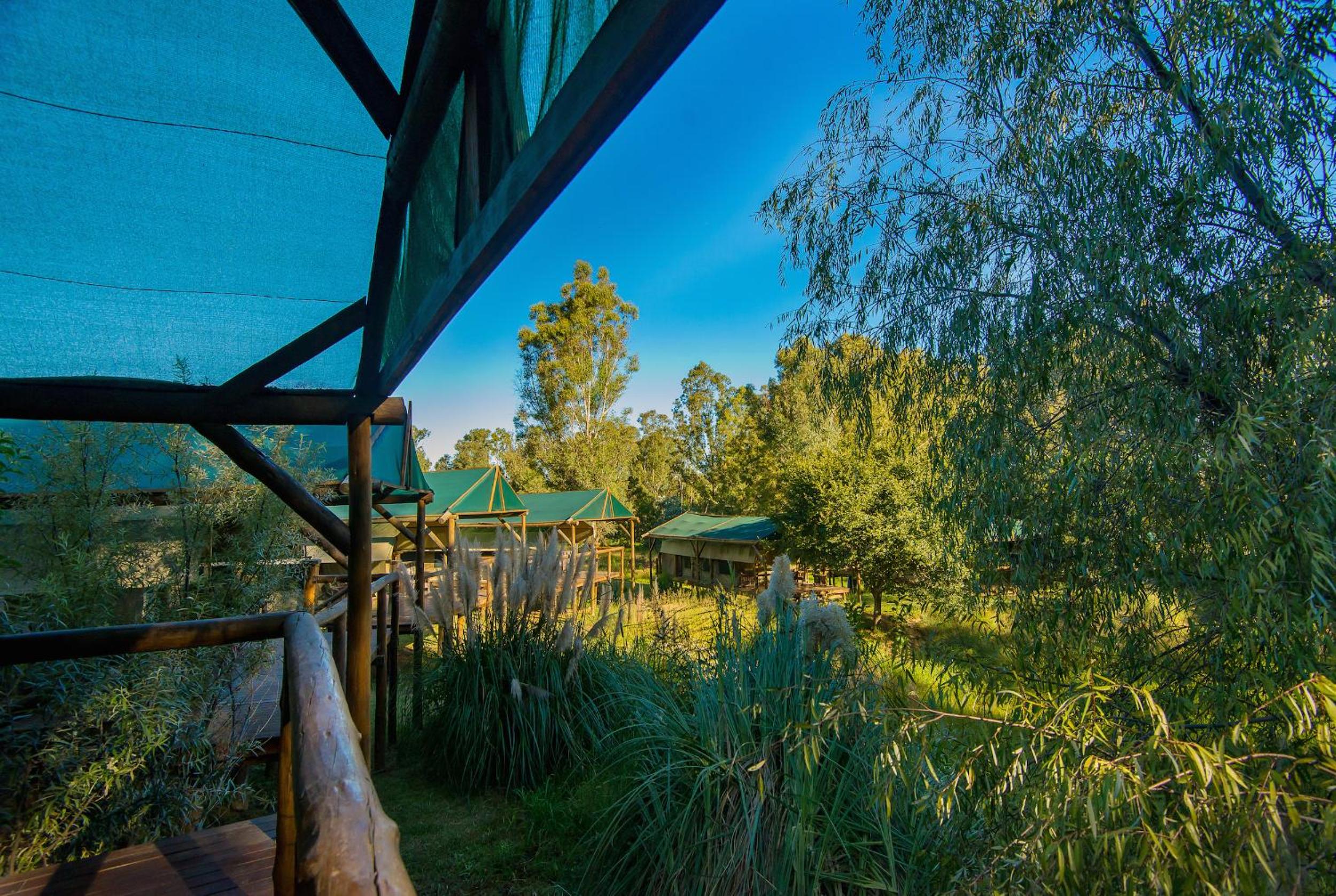 Amadwala Lodge