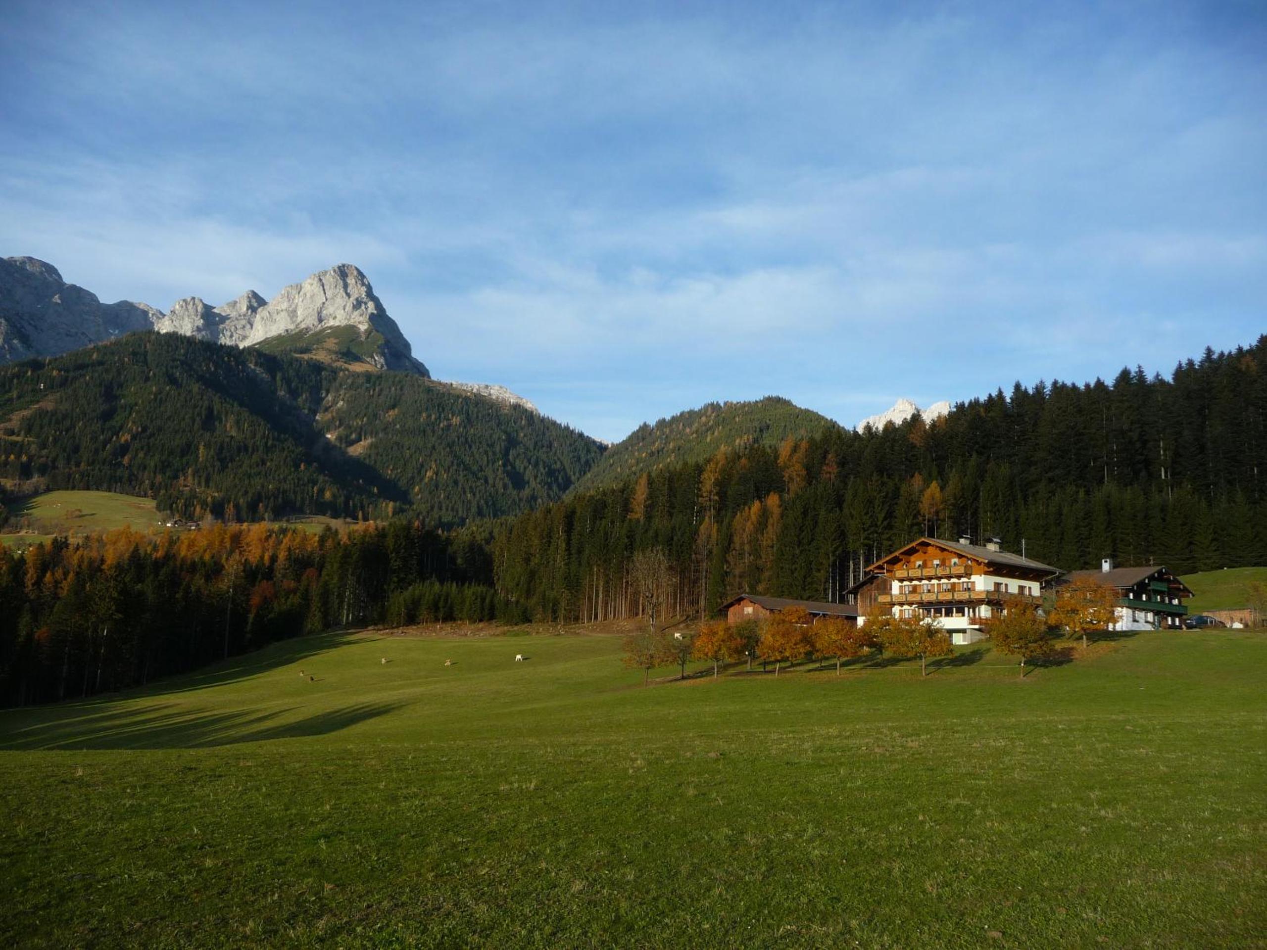 Appartement Ginschel
