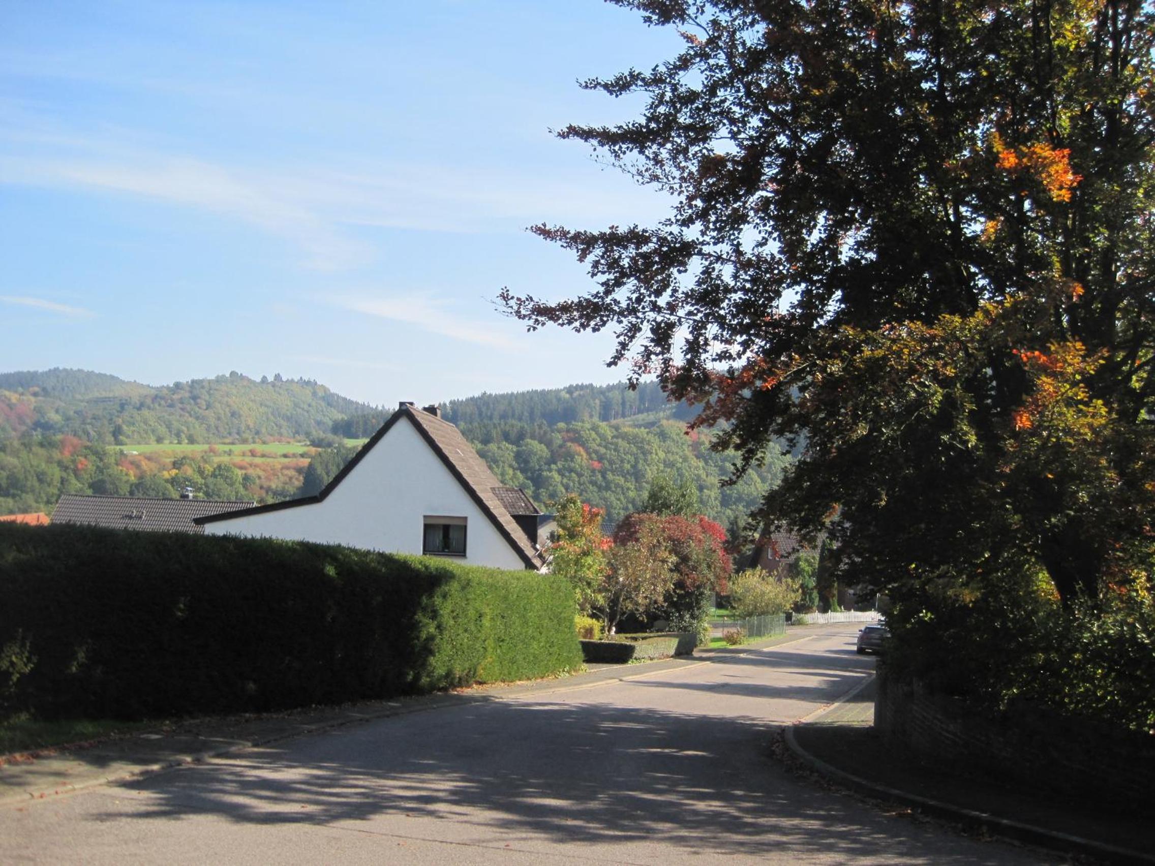 Photo 36