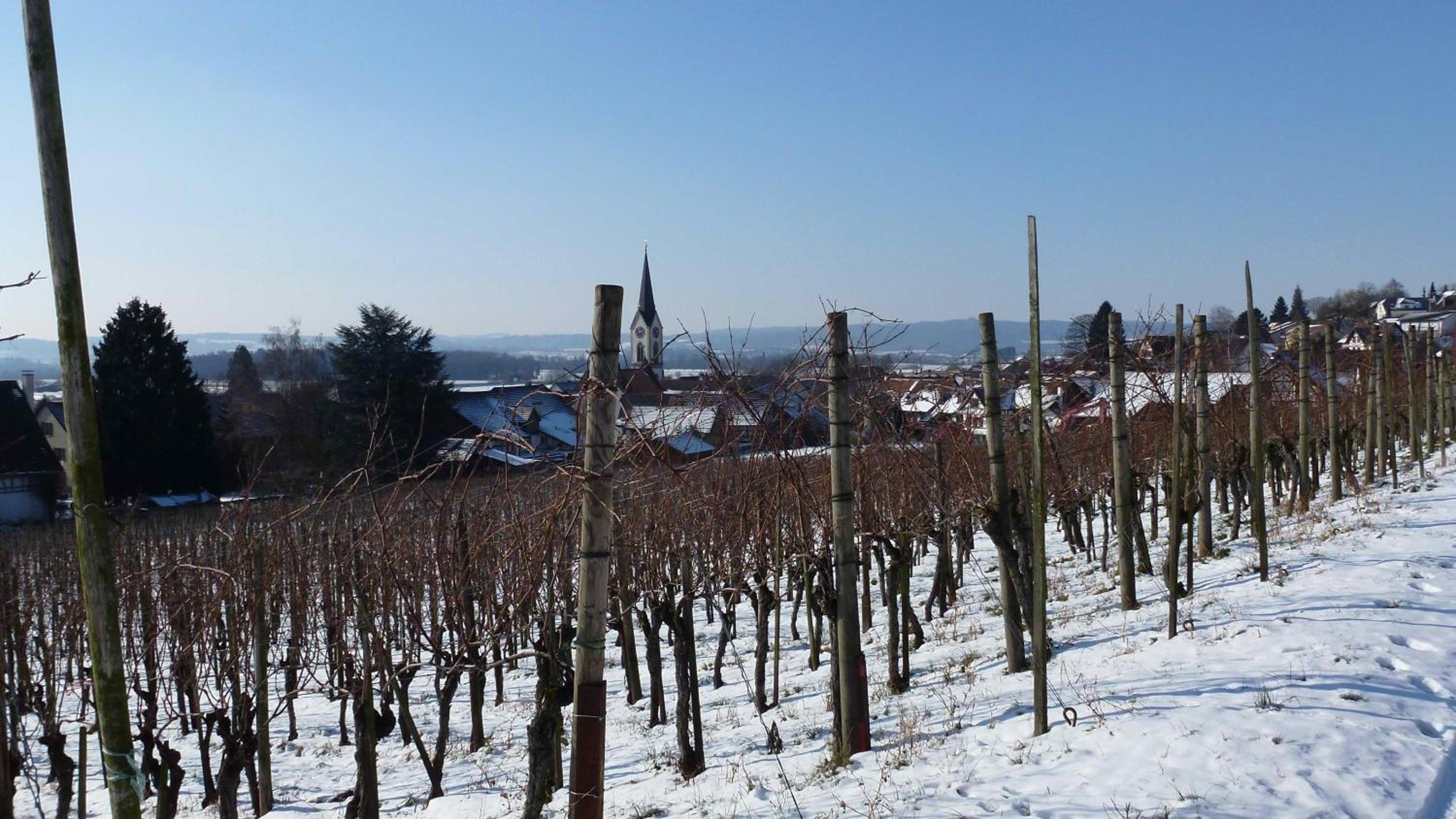 Bed & Breakfast Im Chellhof