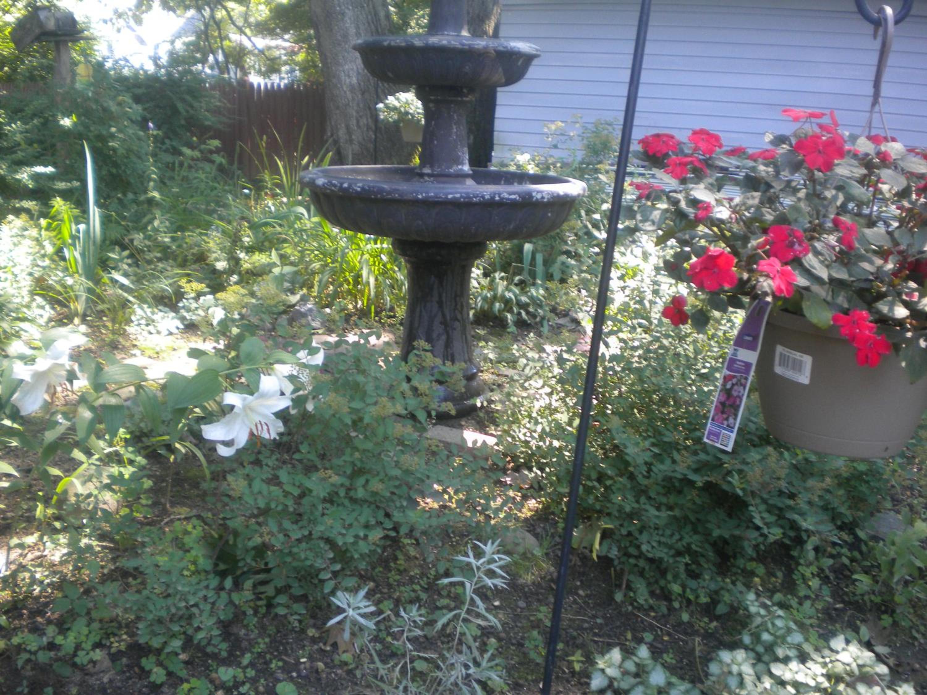 Photo 11