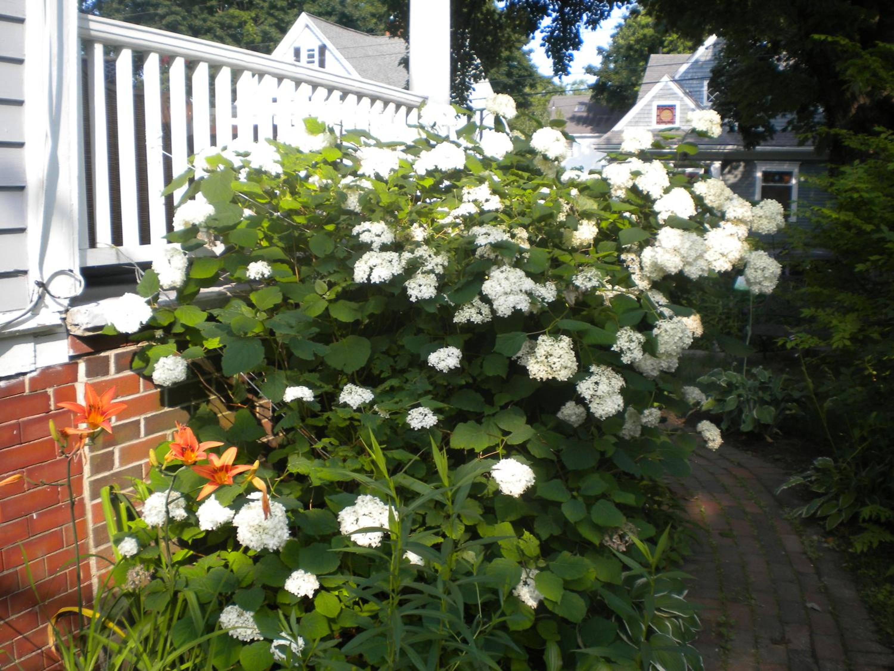 Photo 14