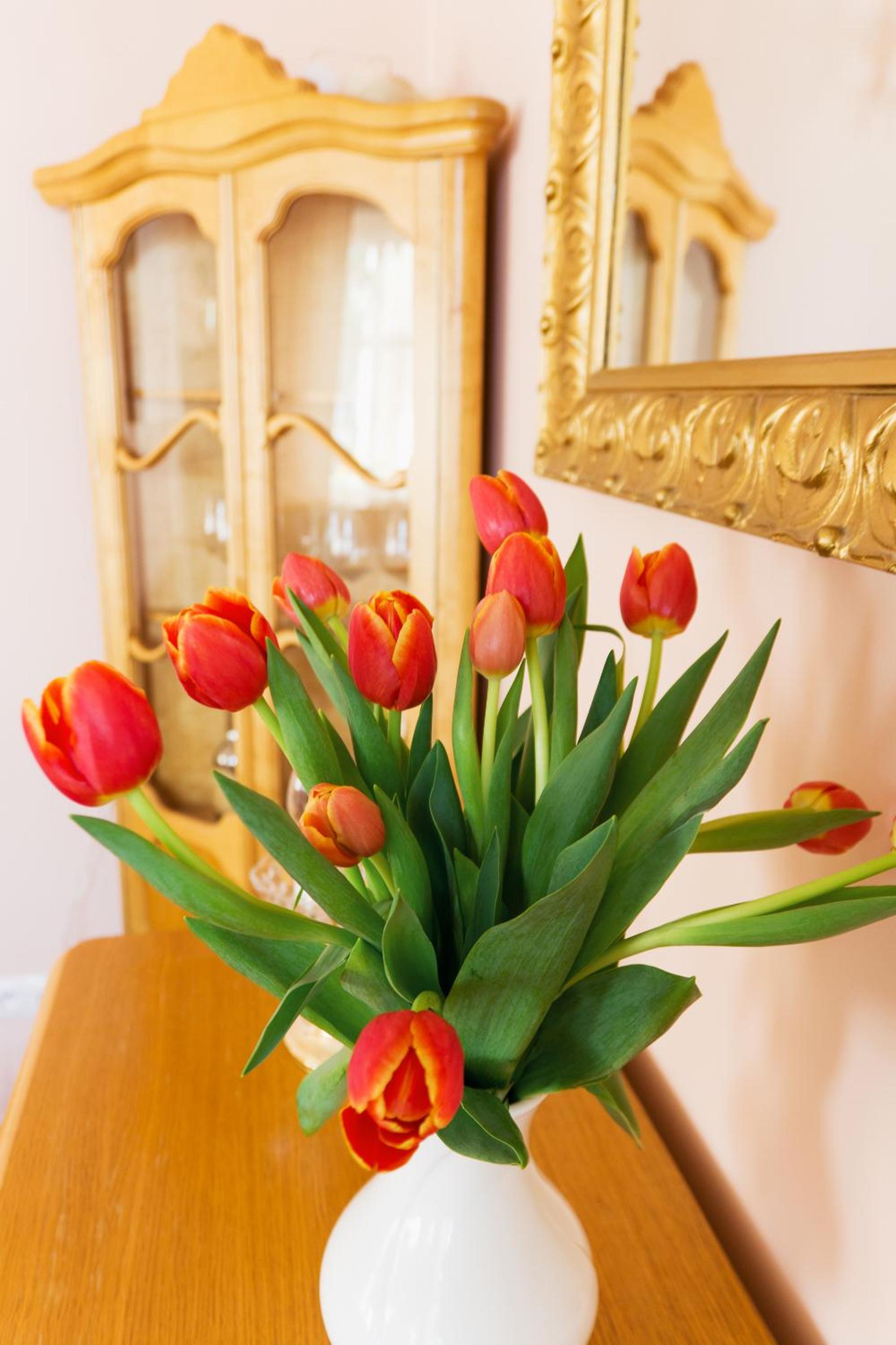 Apartament Sophie