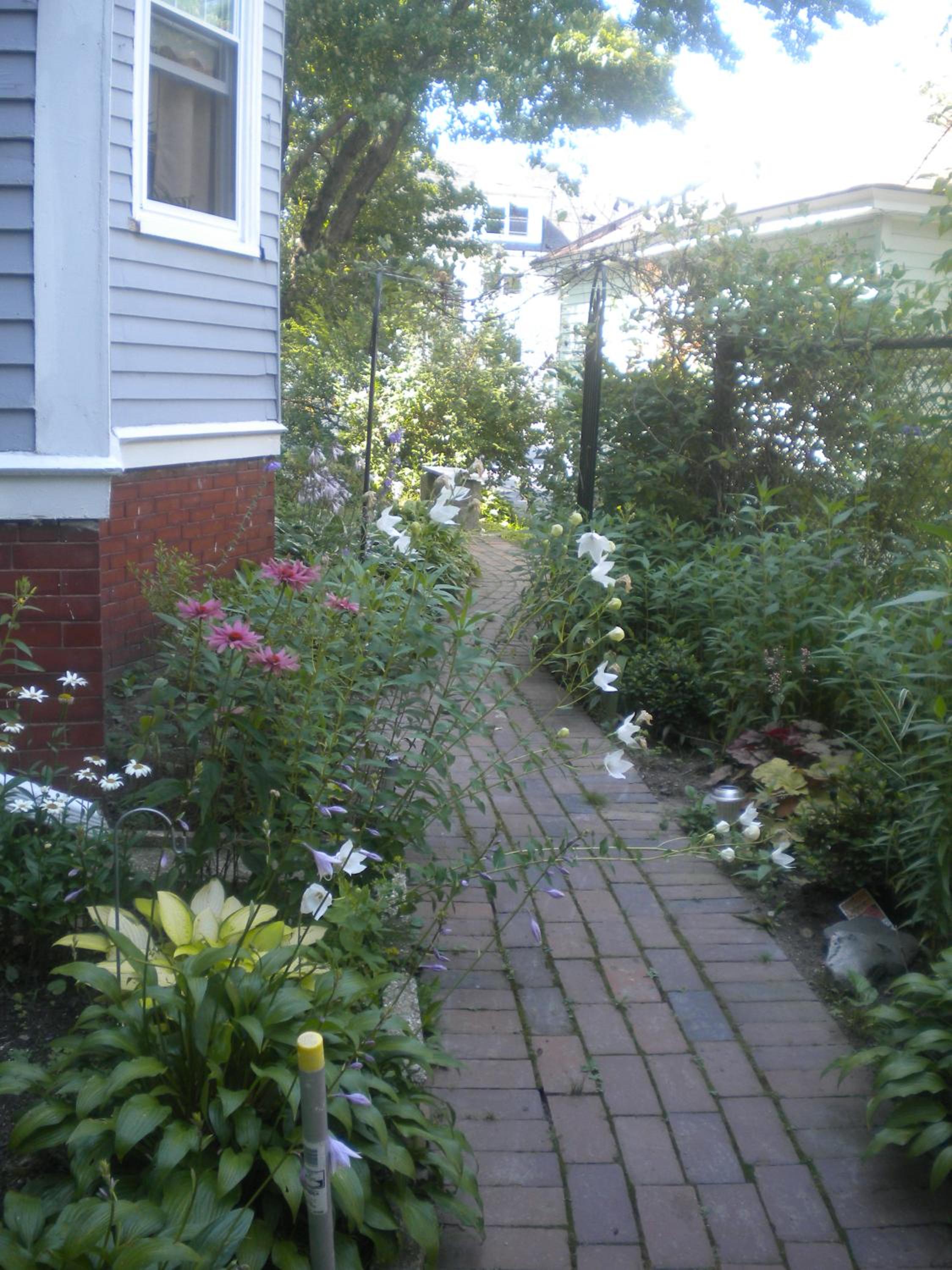 Photo 20