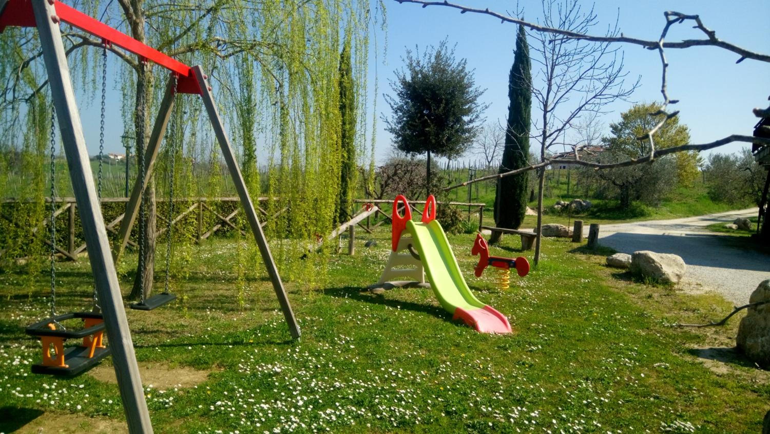 Photo 12