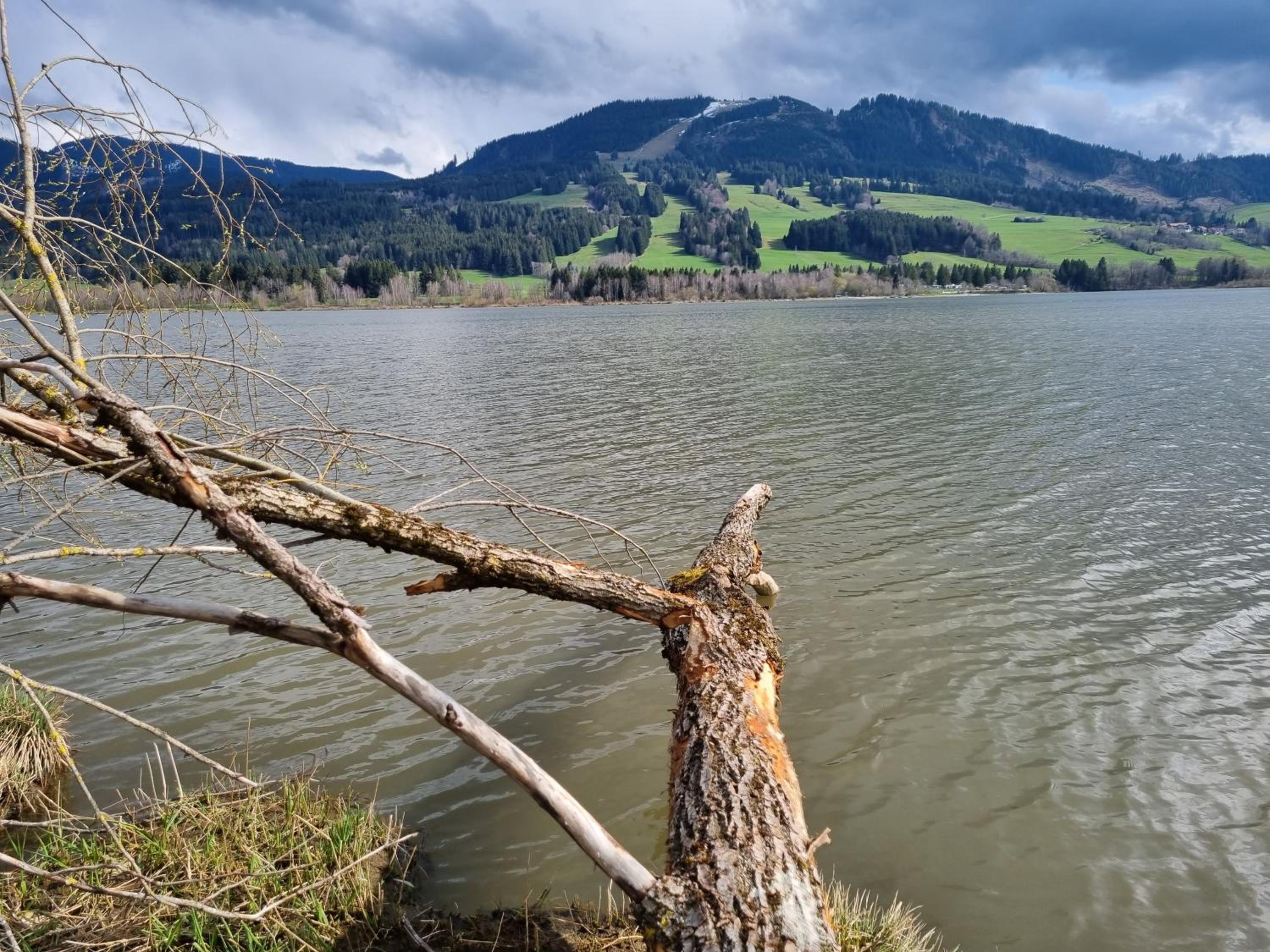 Wertacher Hörnleblick