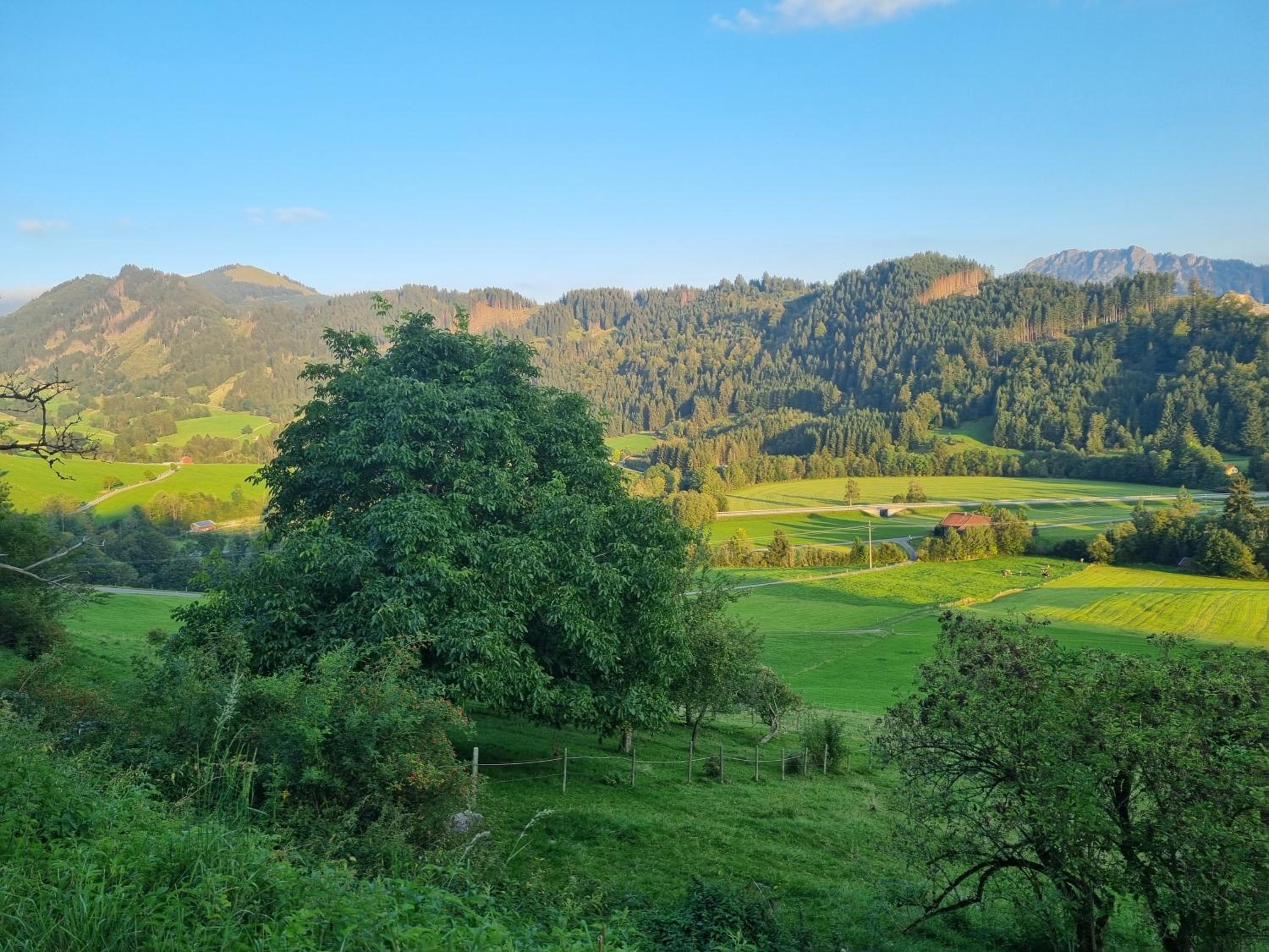 Wertacher Hörnleblick