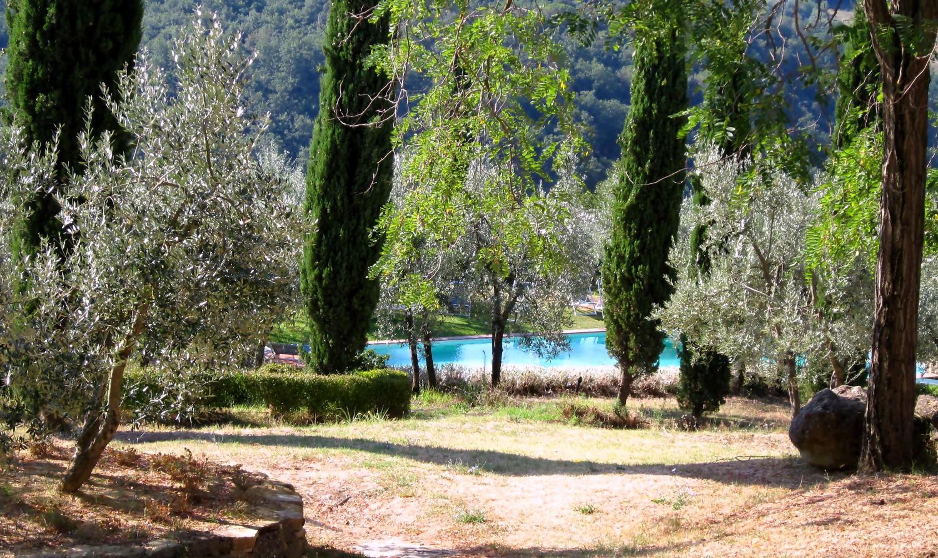 Borgo Poneta