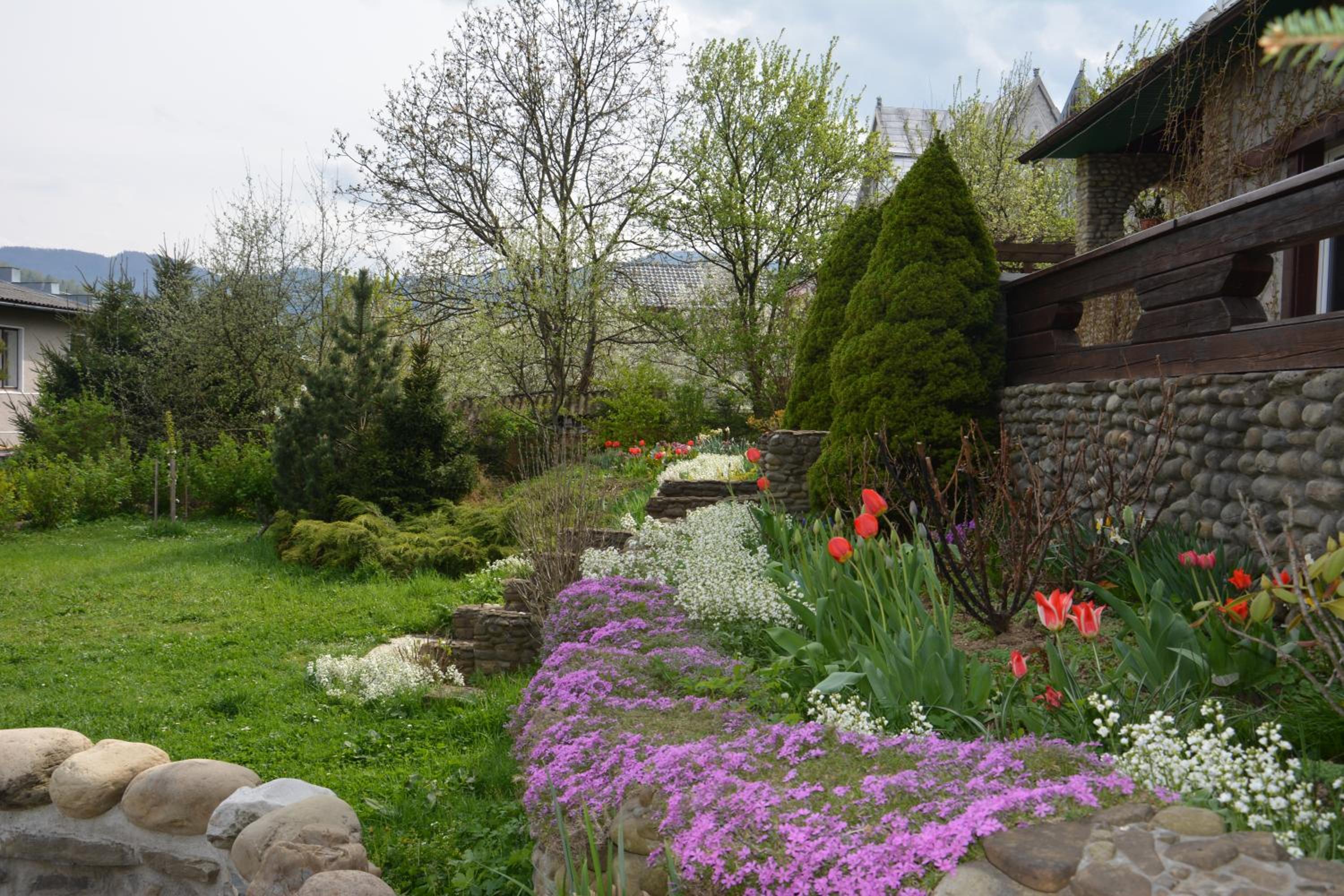 Photo 16