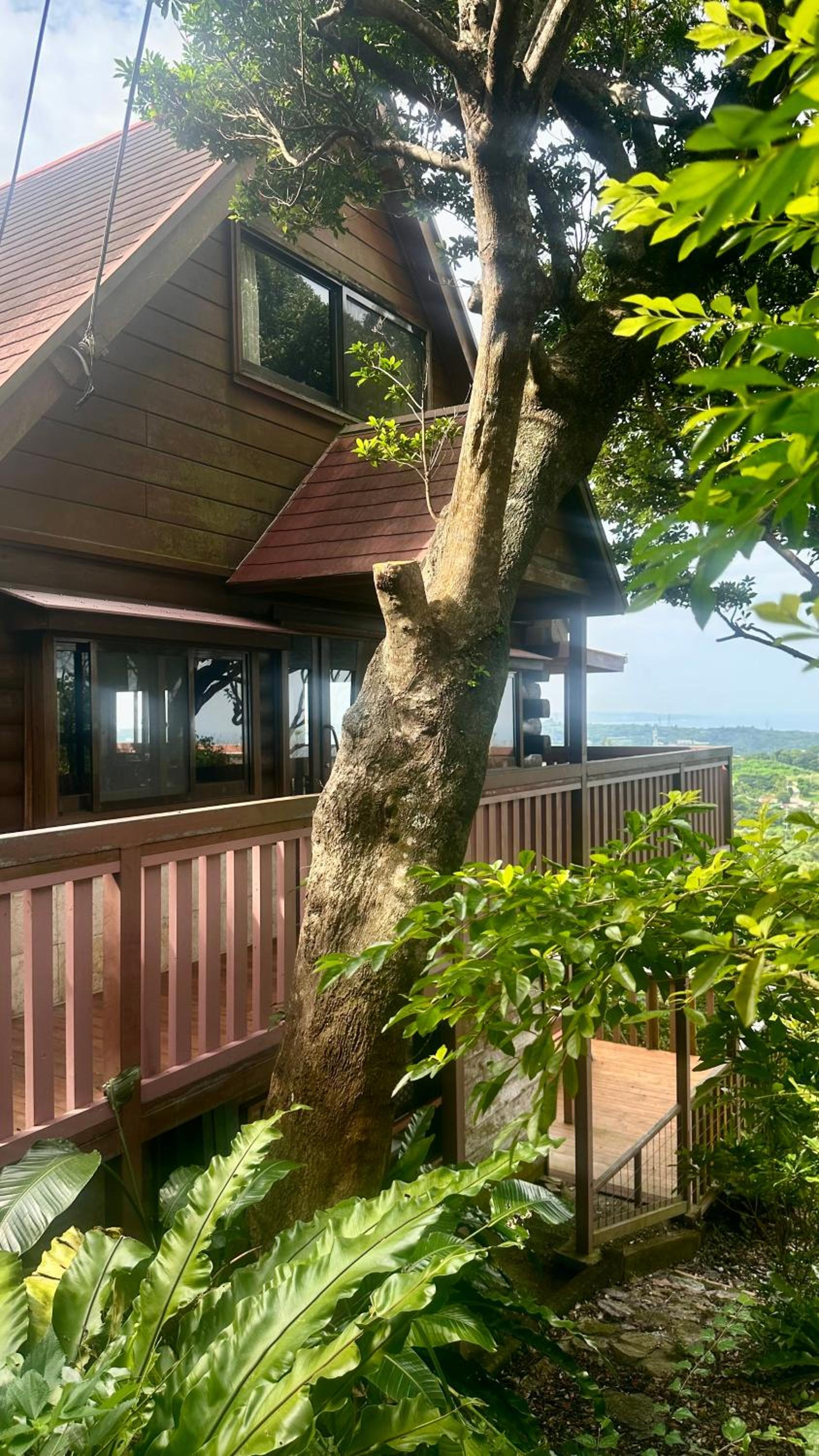 Casablanca Vacation House, 海の見える ペット可 ビリヤード, 本部町