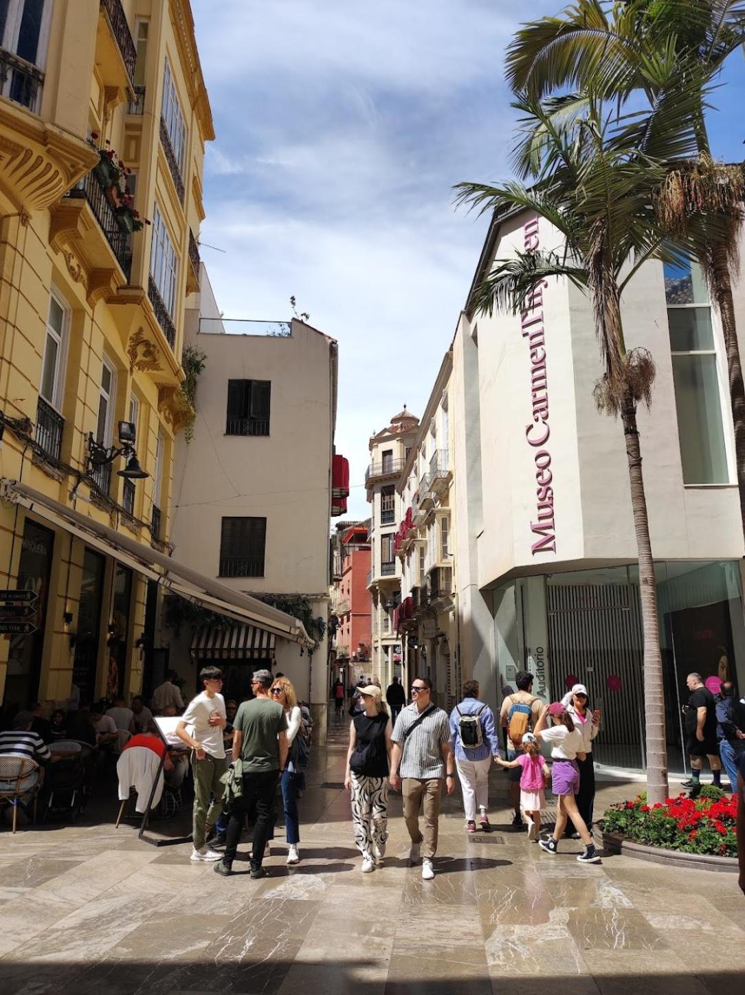 Elegancia y confort en el corazón de Málaga