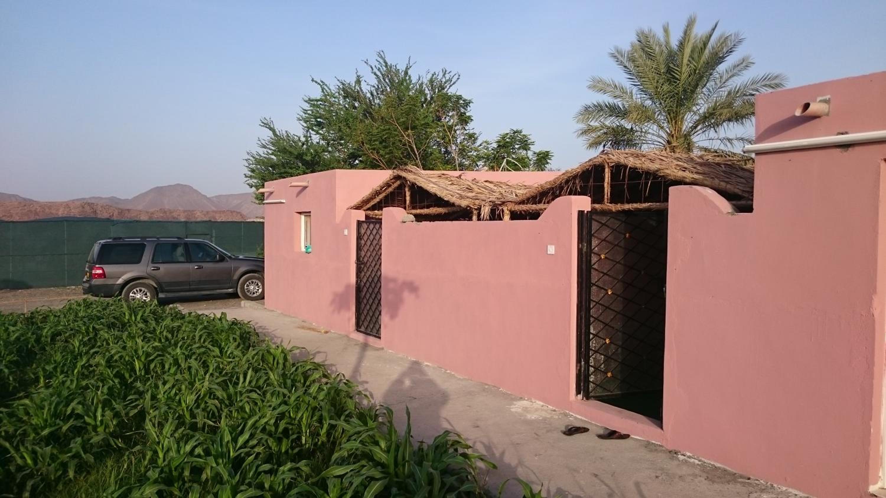 Yonis Farm