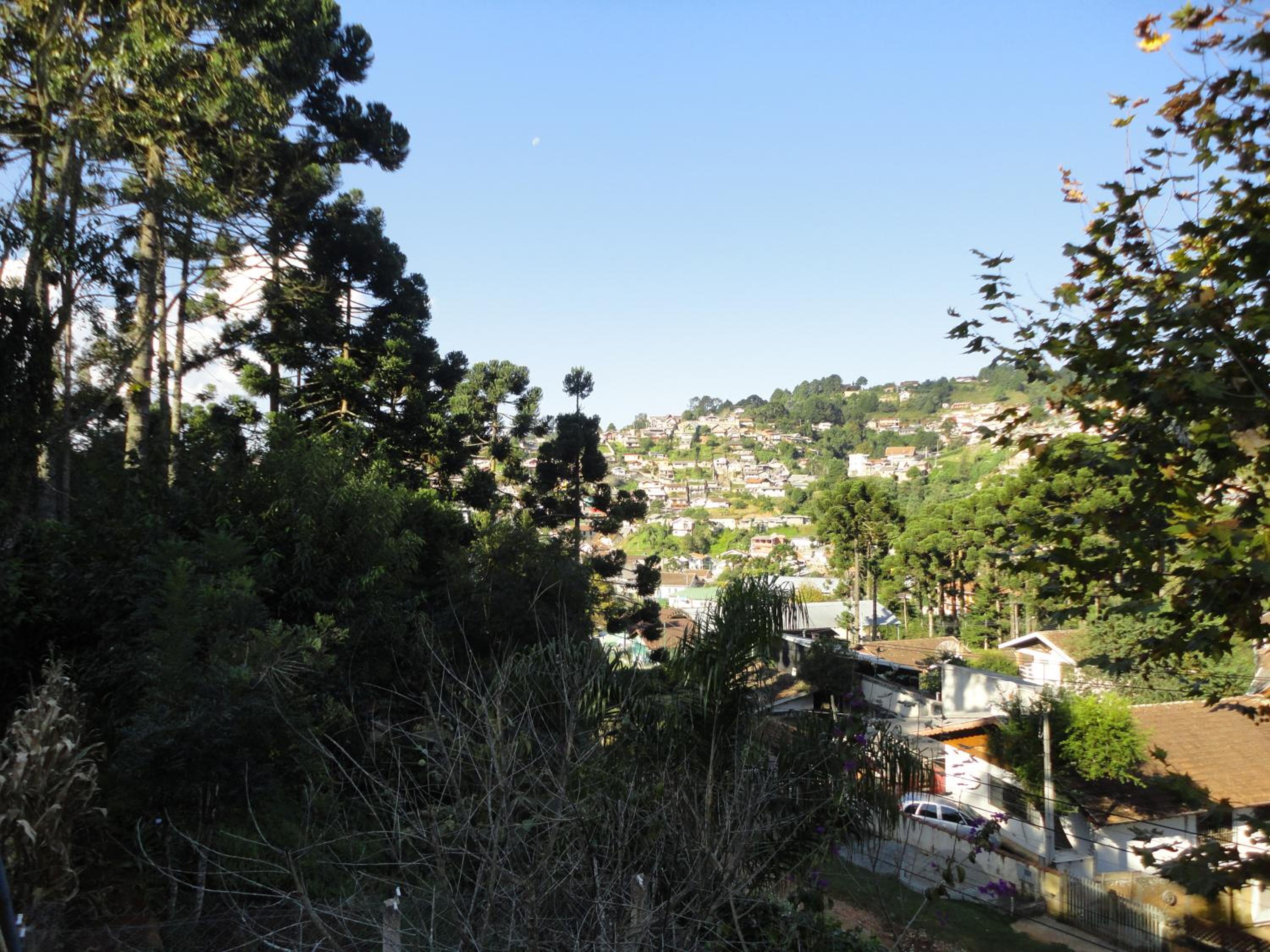 Casa do Passarinho view 4