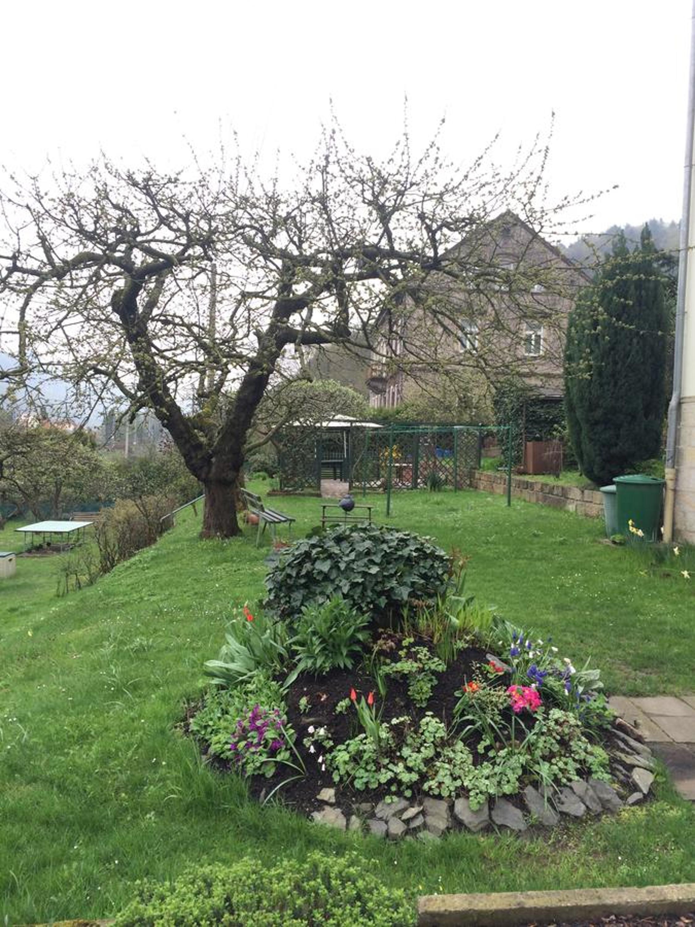 Pension Hönel-Hof Bad Schandau