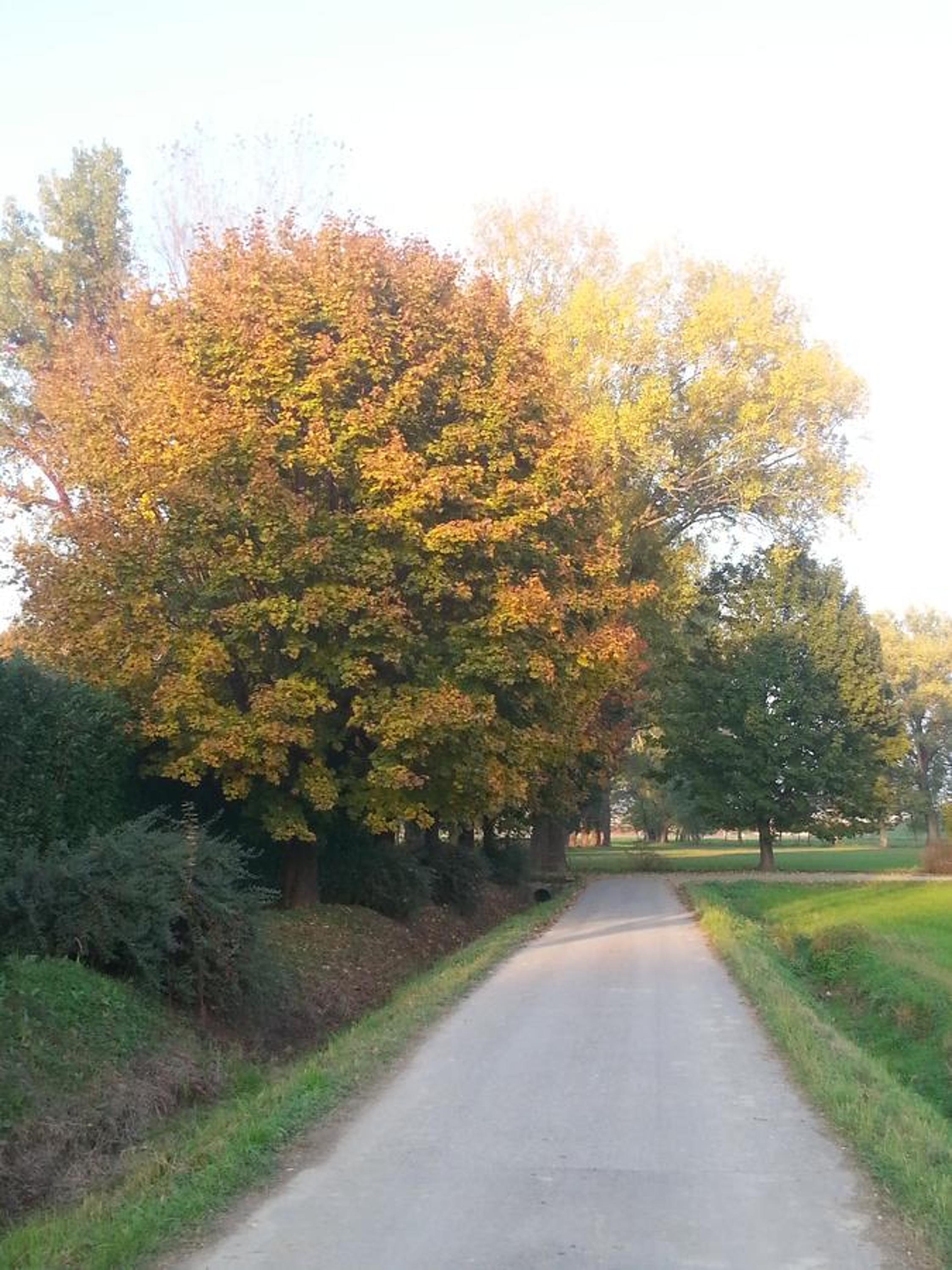 Photo 30