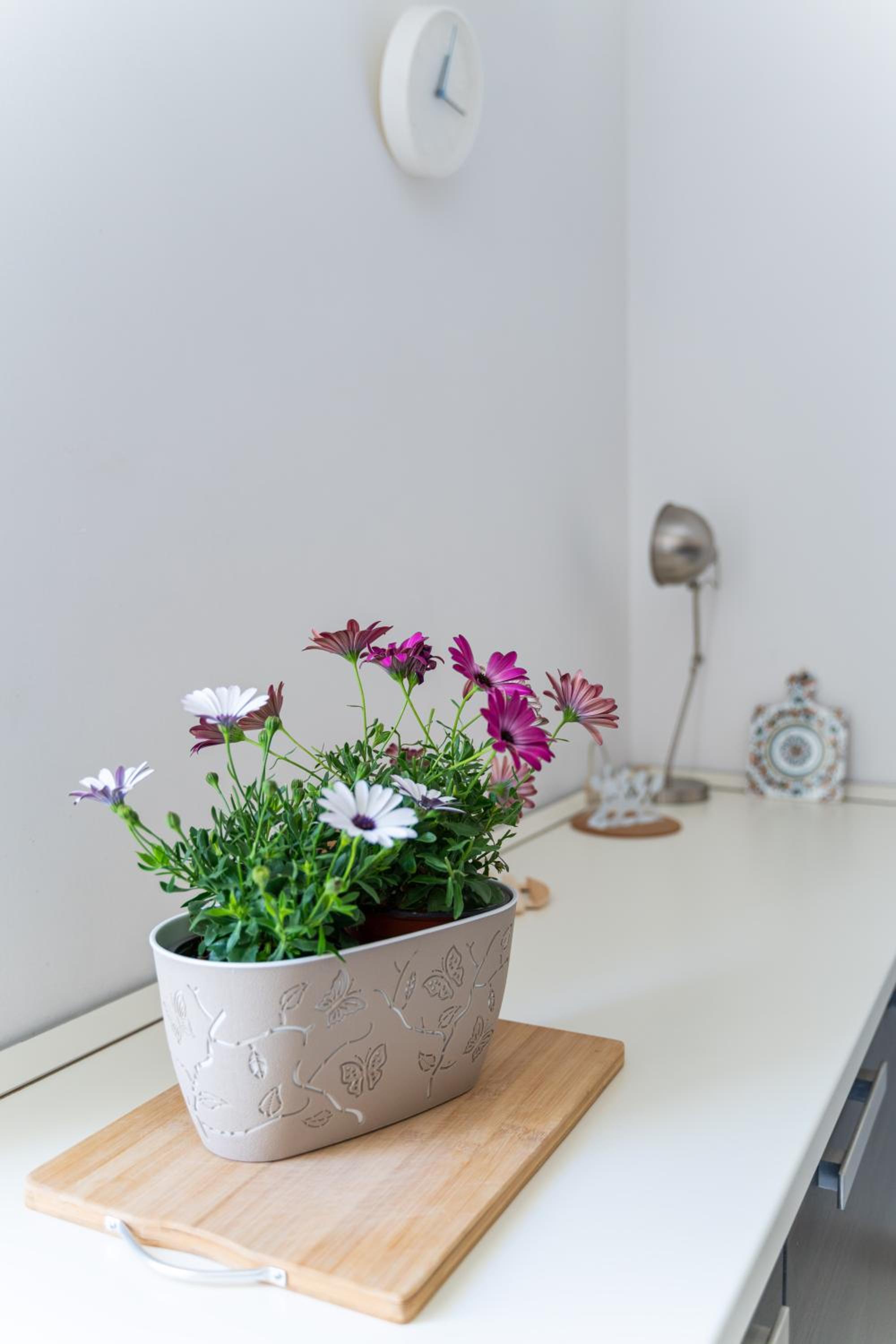 Casa Sea Breeze Apartment