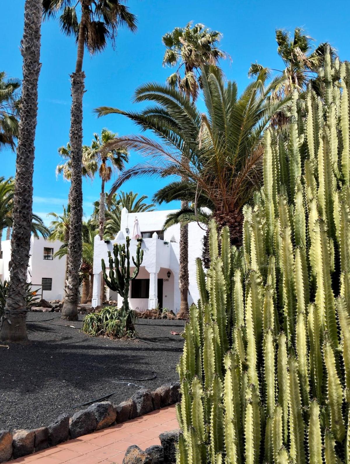 Buena Pace - Lovely apartment in Corralejo
