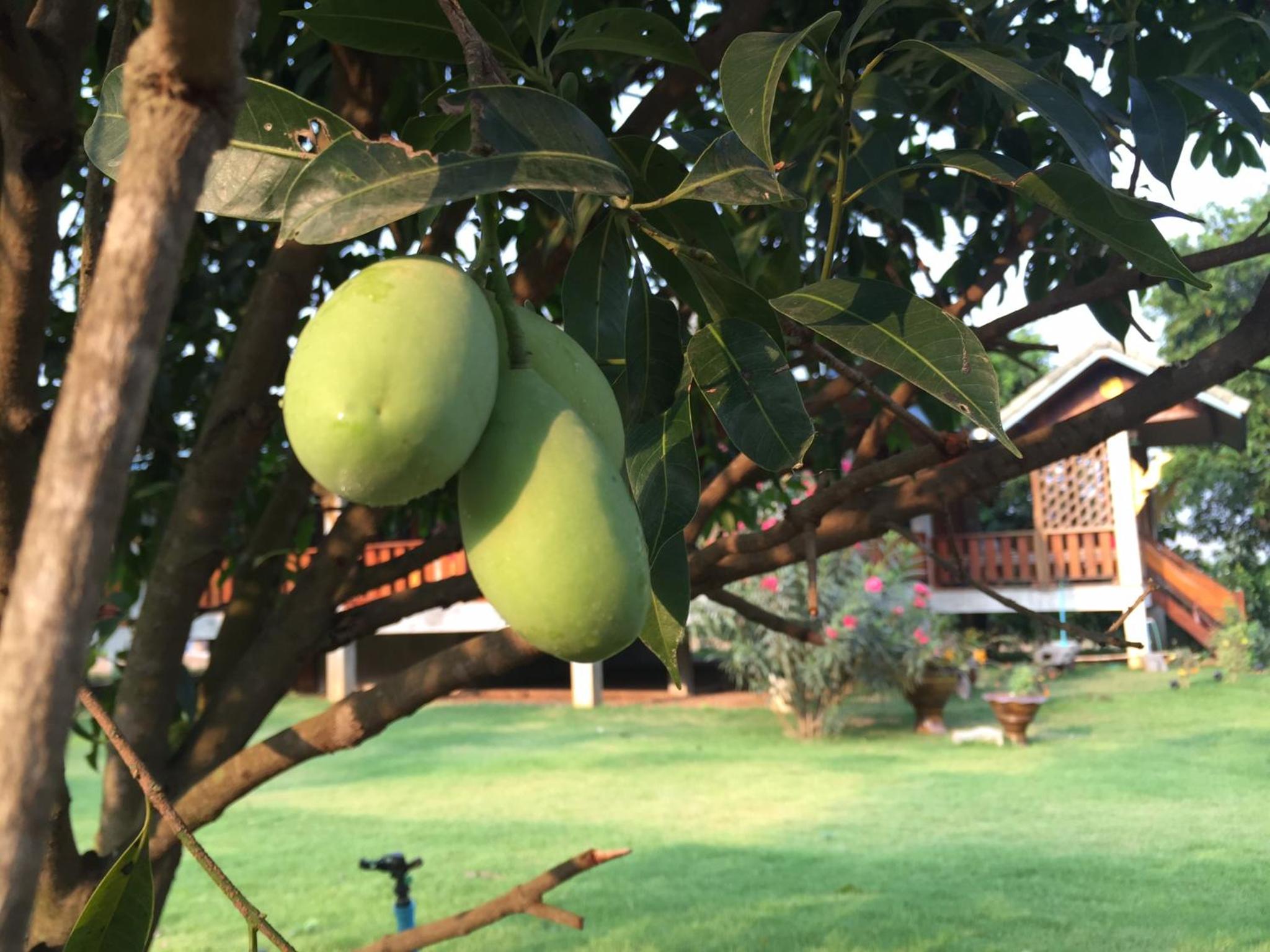 Baan Chai Khao Home Stay