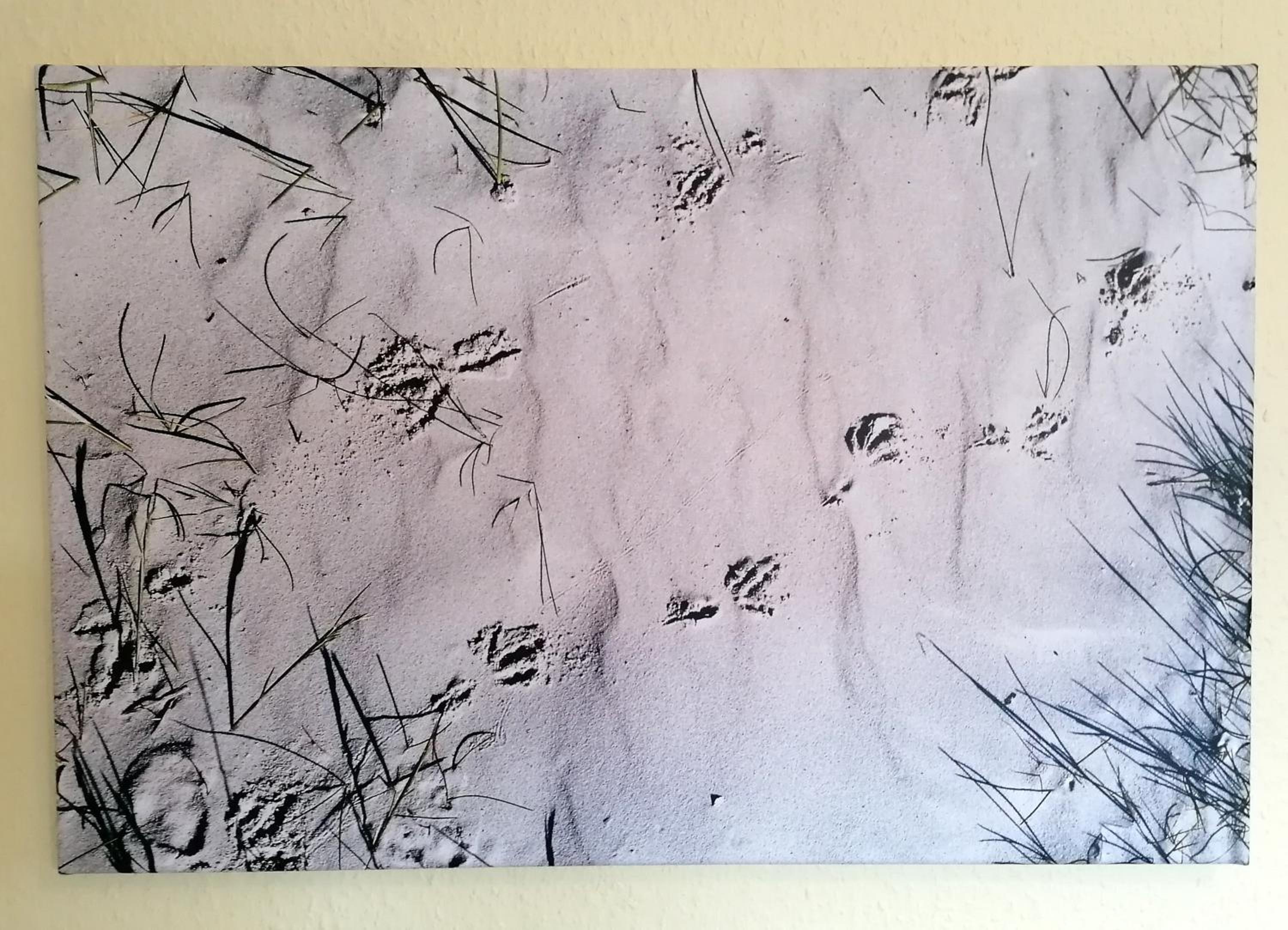 Photo 34