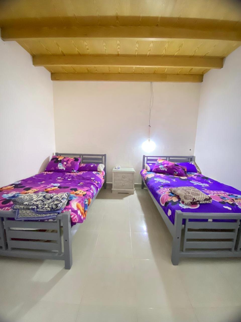 Morano wadi degla العين السخنة