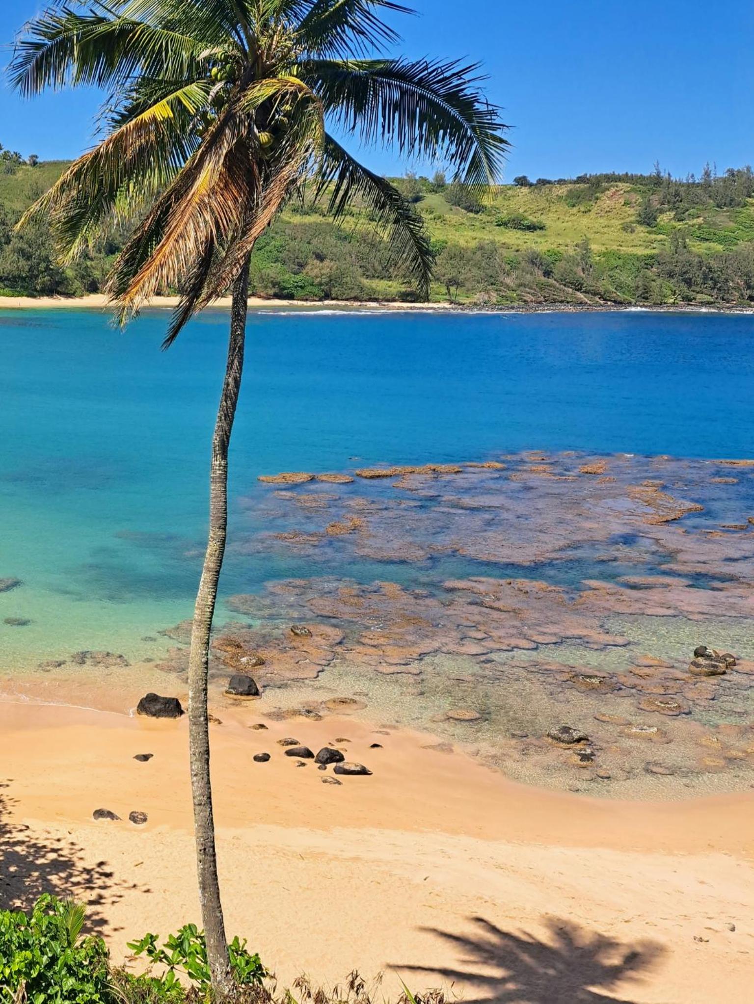 This is it! Dreamy Beach, Stunning Views, Awesome Location 10 guest limit
