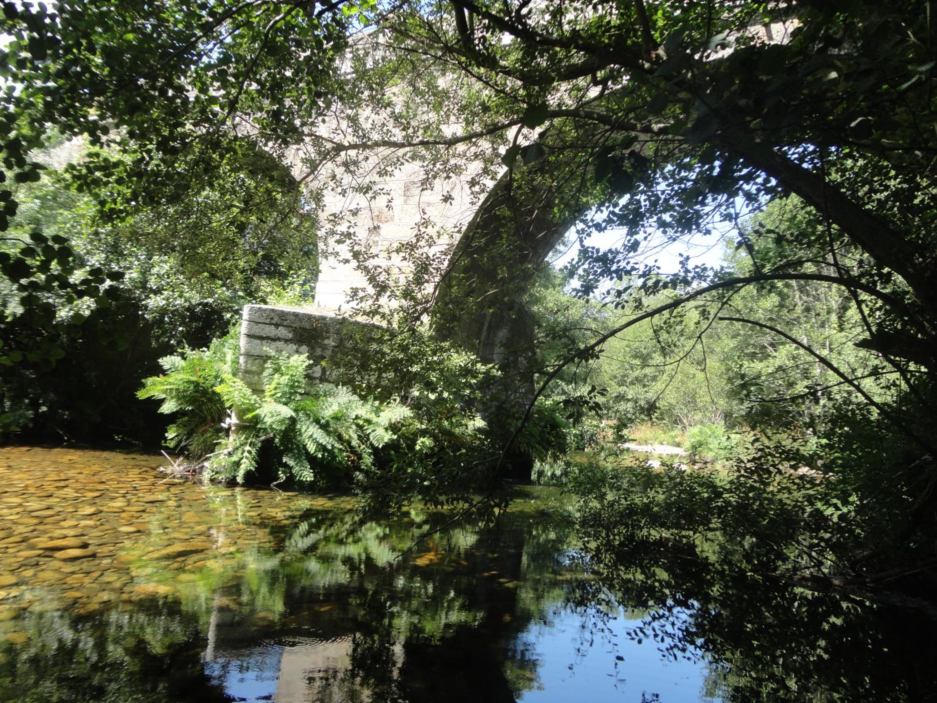 Photo 42