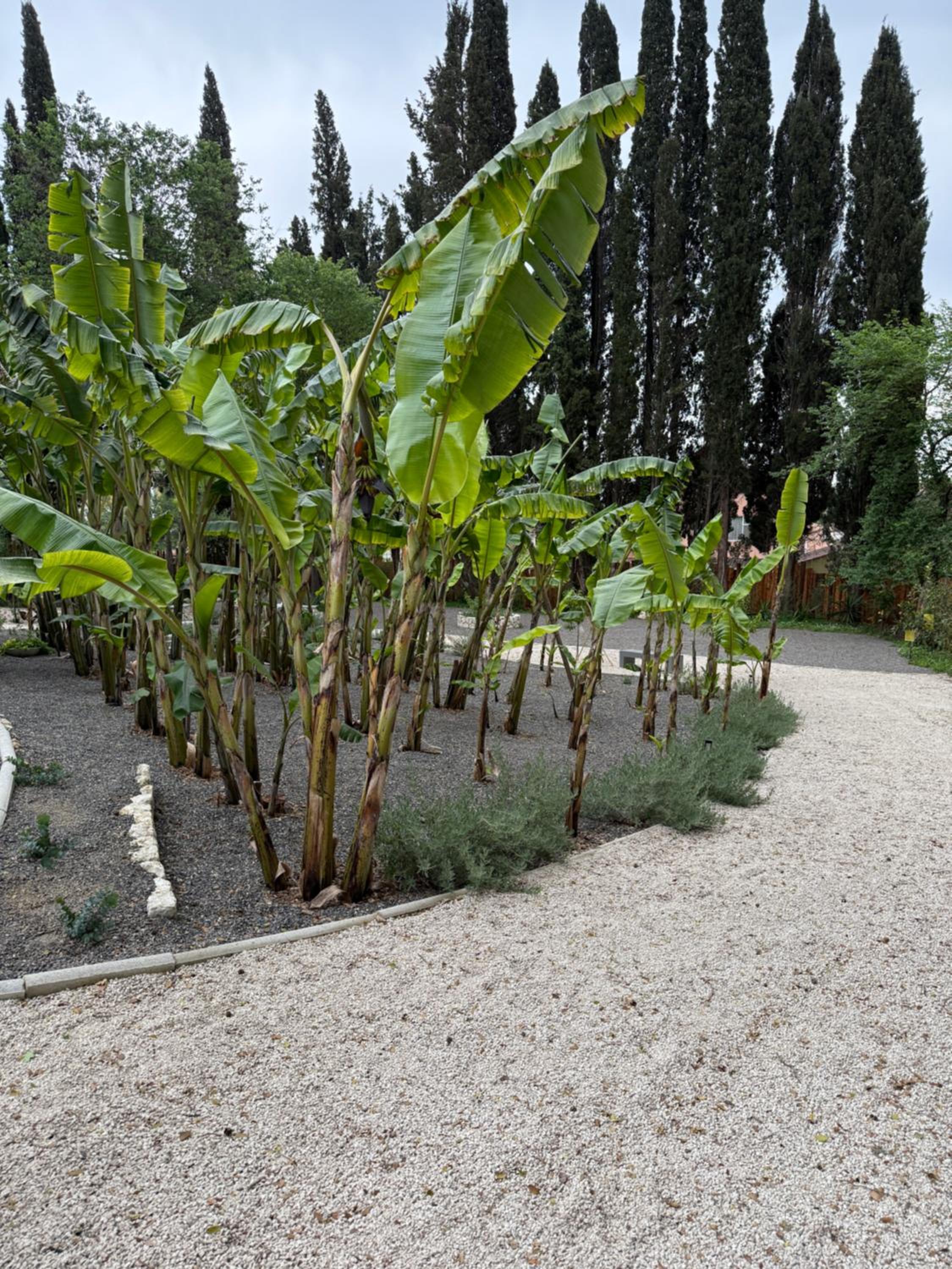 La Fortuna Villa - Award Winning Luxury Villa Close to Corfu Town