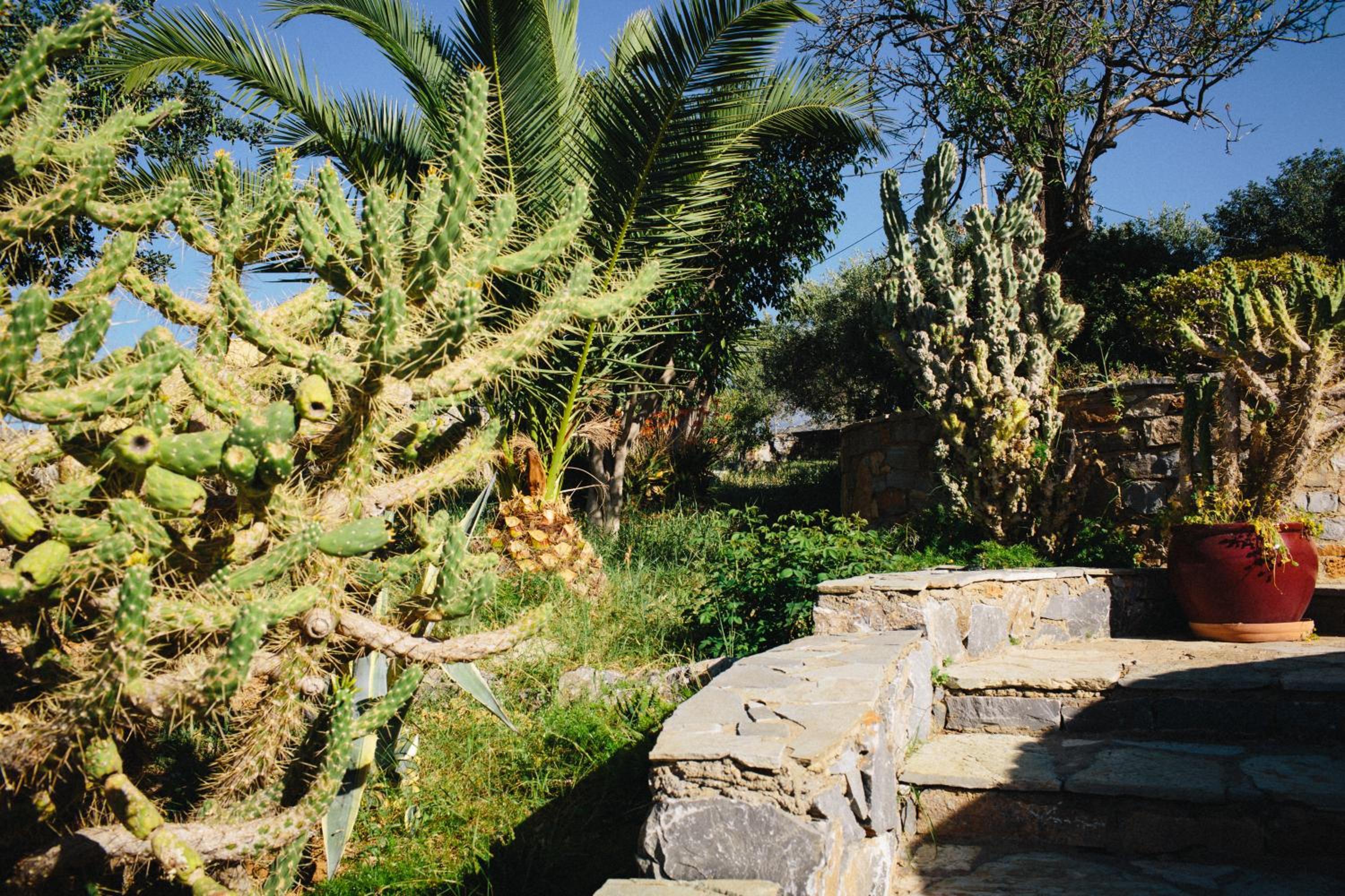 Photo 22