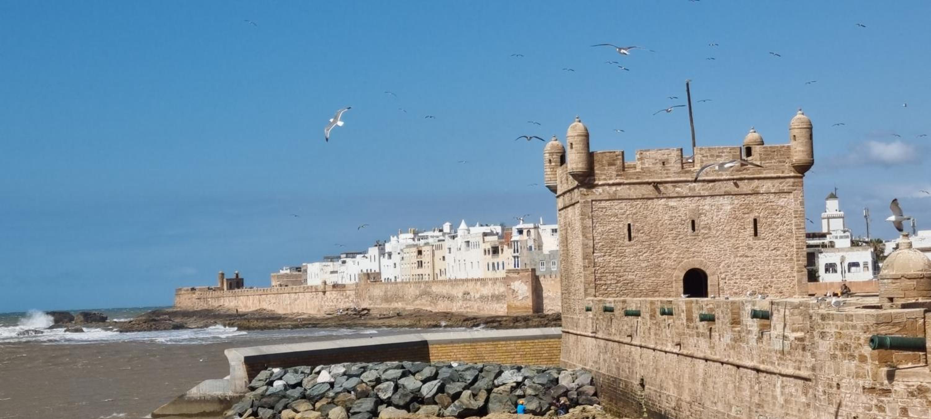 Riad 49 G26