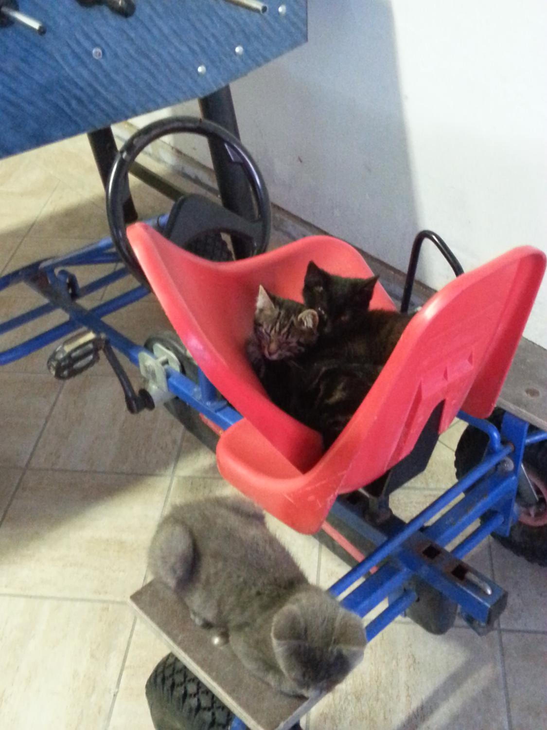 Photo 26