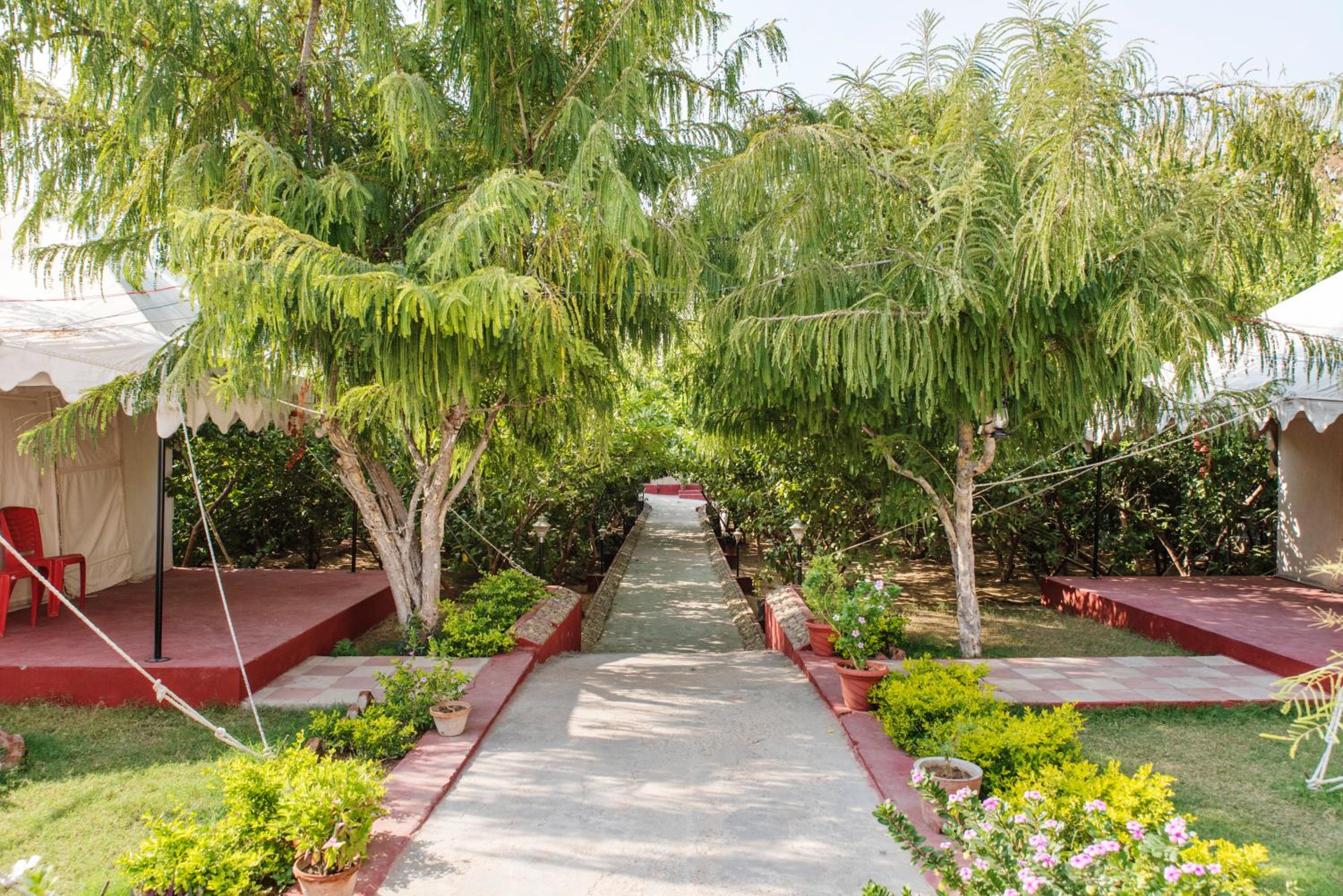 Ranthambhore National Resort