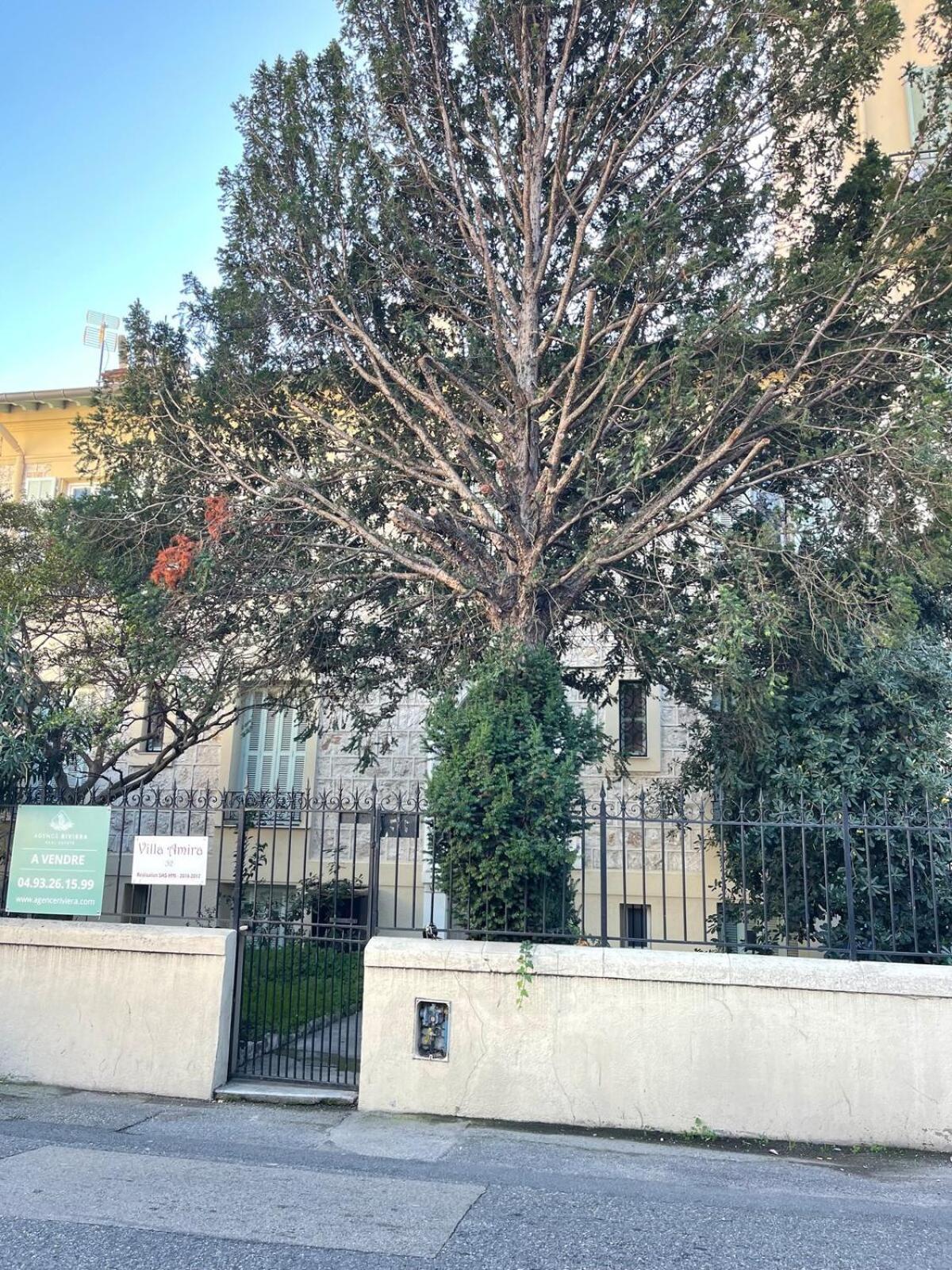 Villa Amira Angely Vauban
