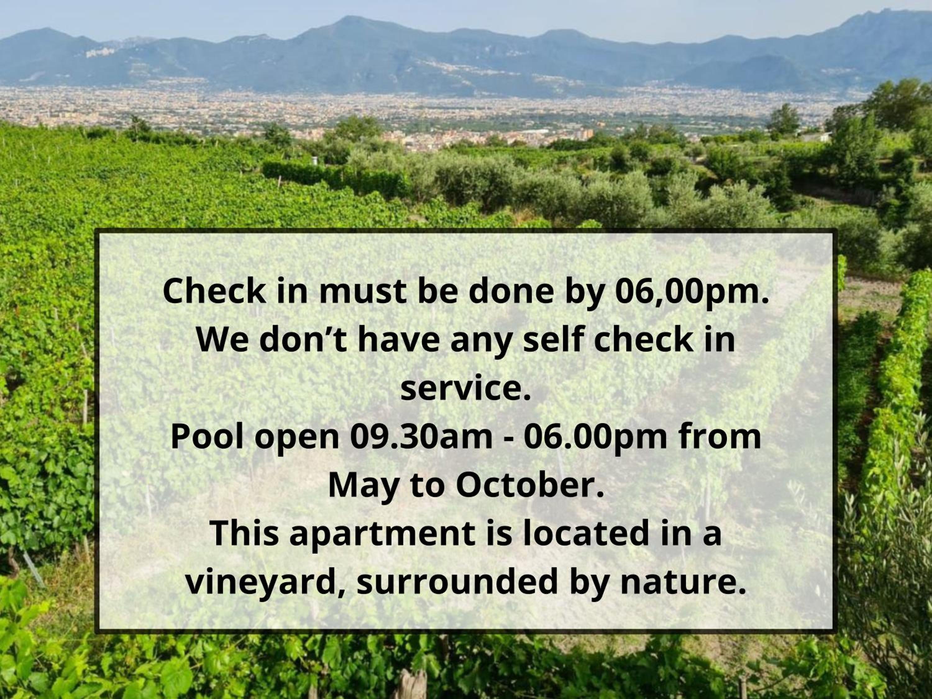 Vesuvio Inn Guest House e Wine Experience, photo 38