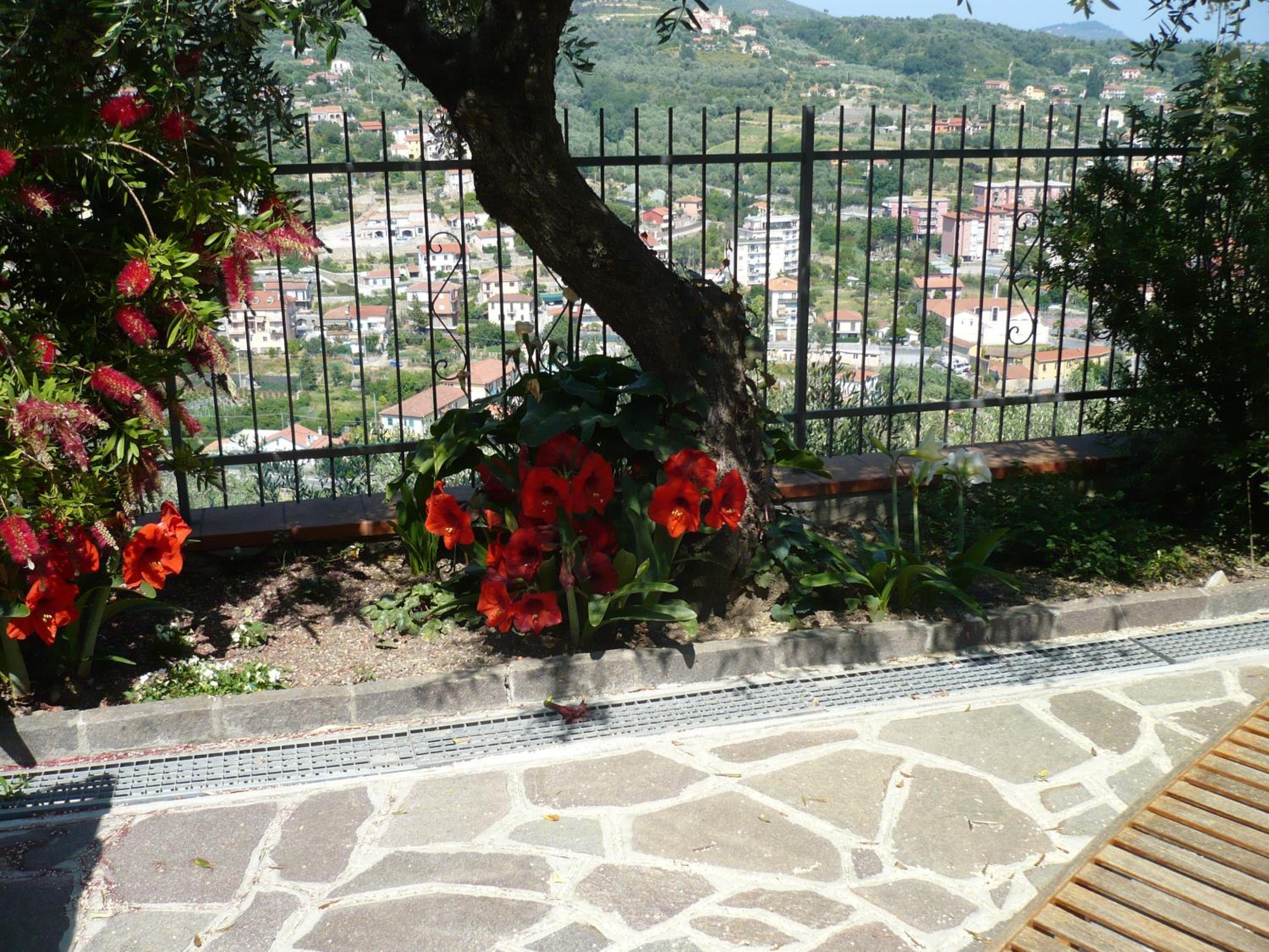 Photo 46